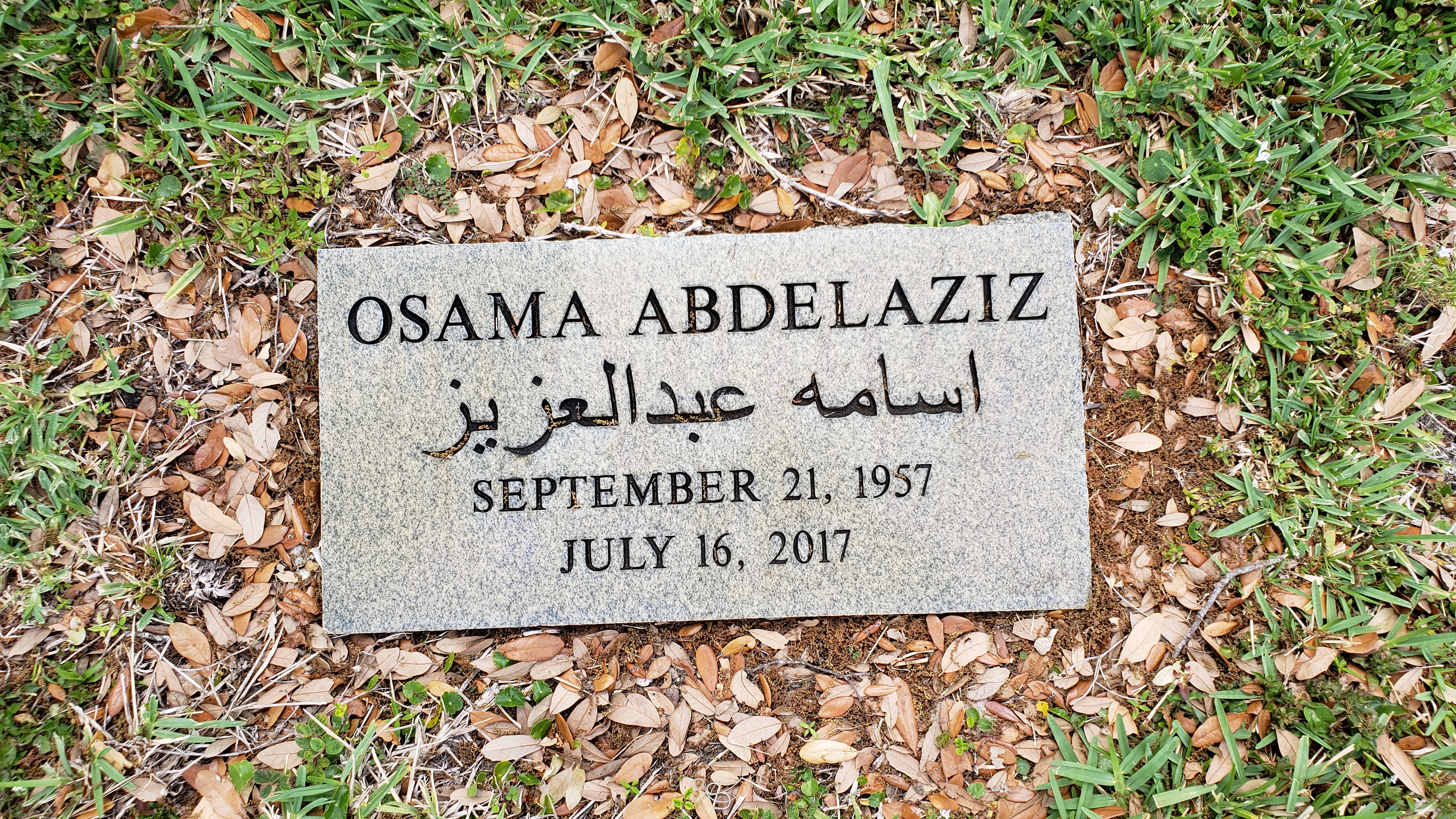 Osama Abdelaziz