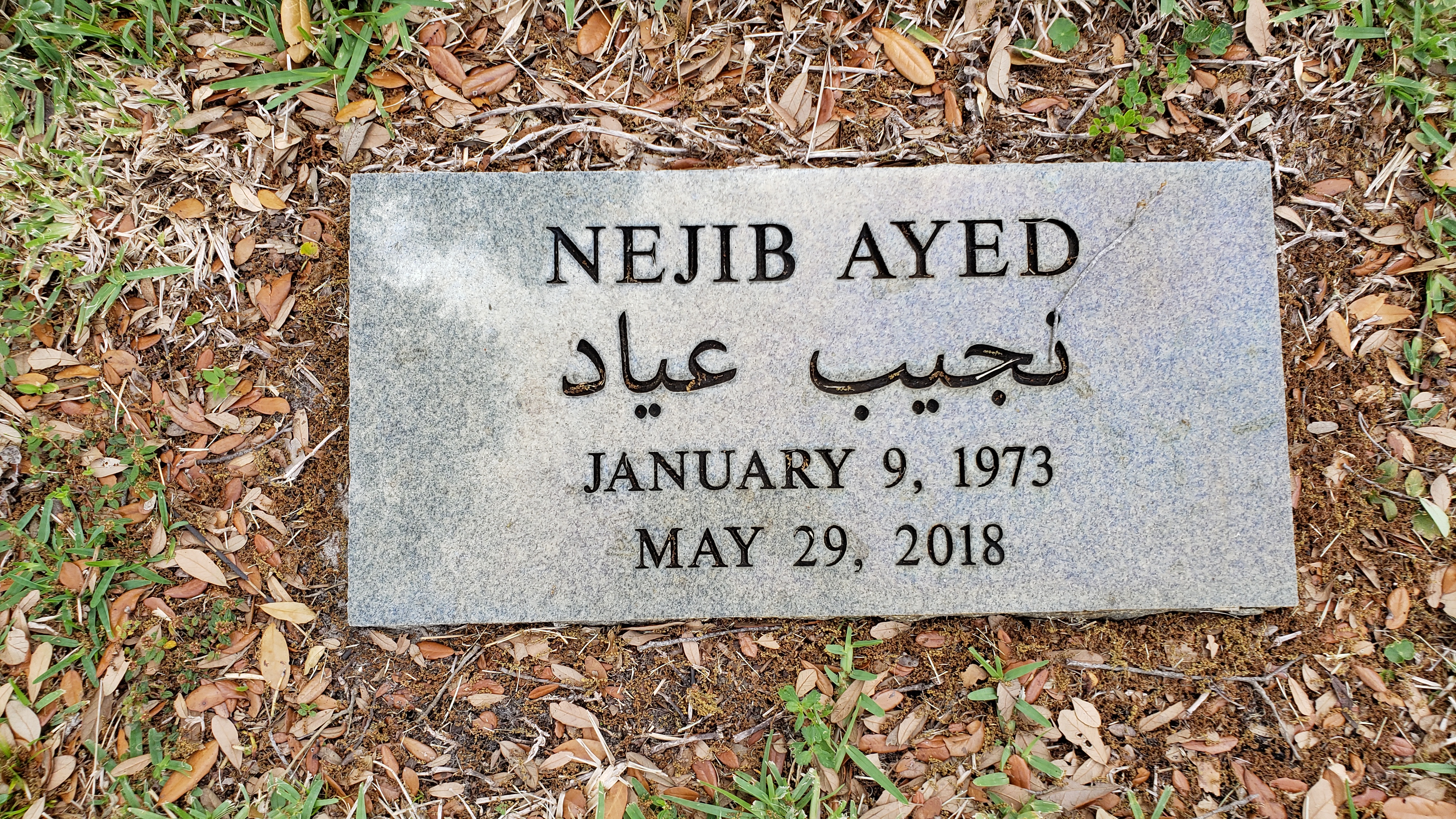 Nejib Ayed