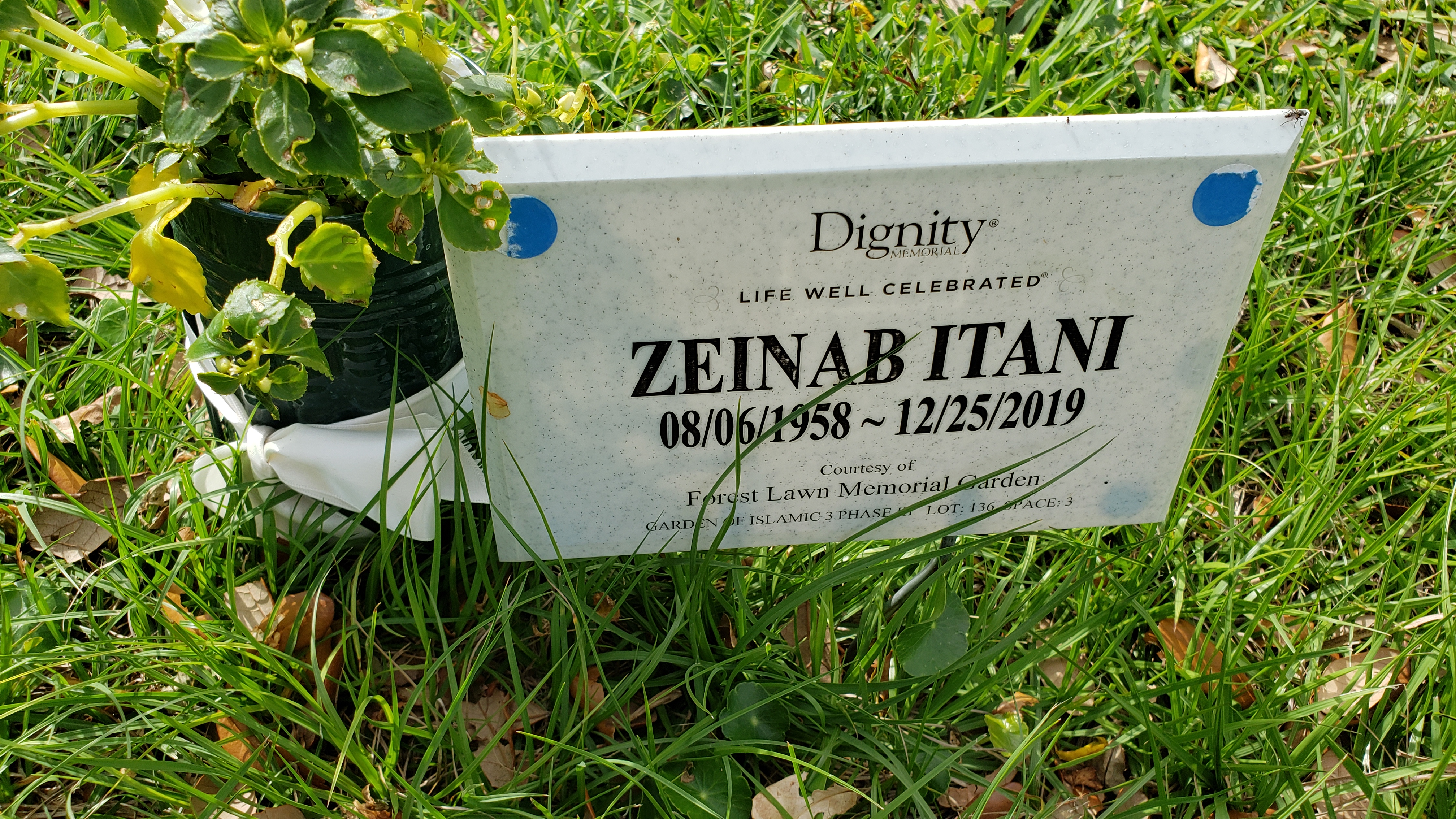 Zeinab Itani