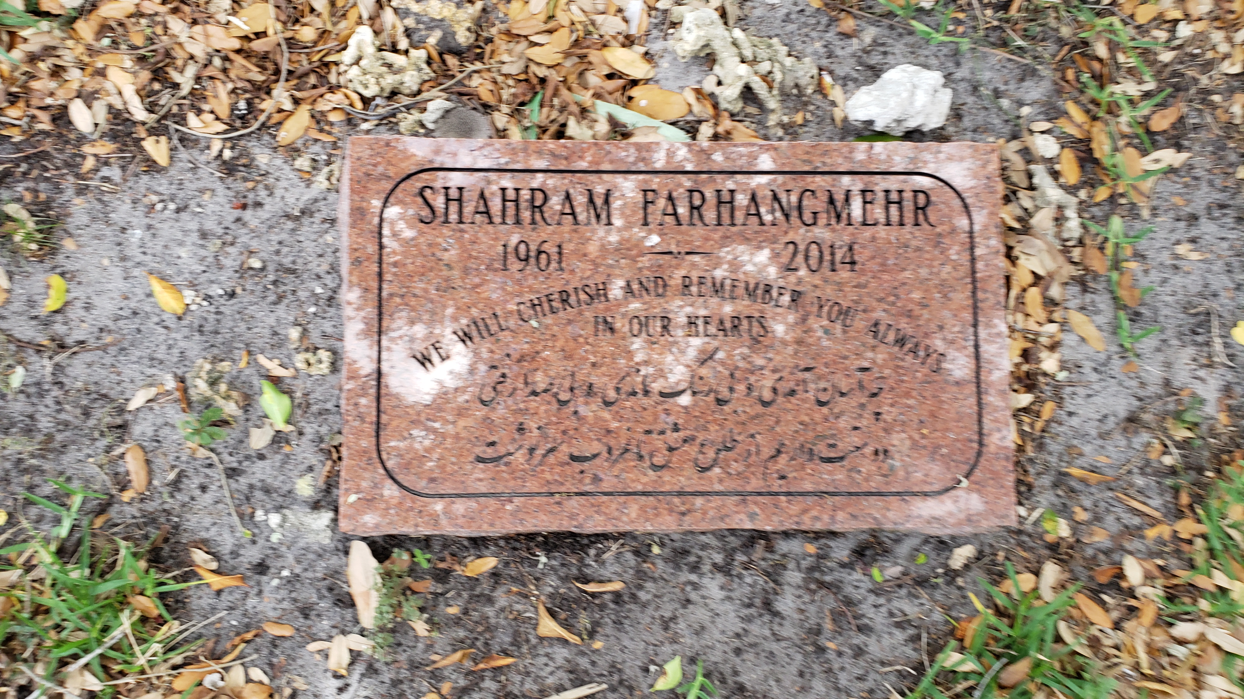 Shahram Farhangmehr