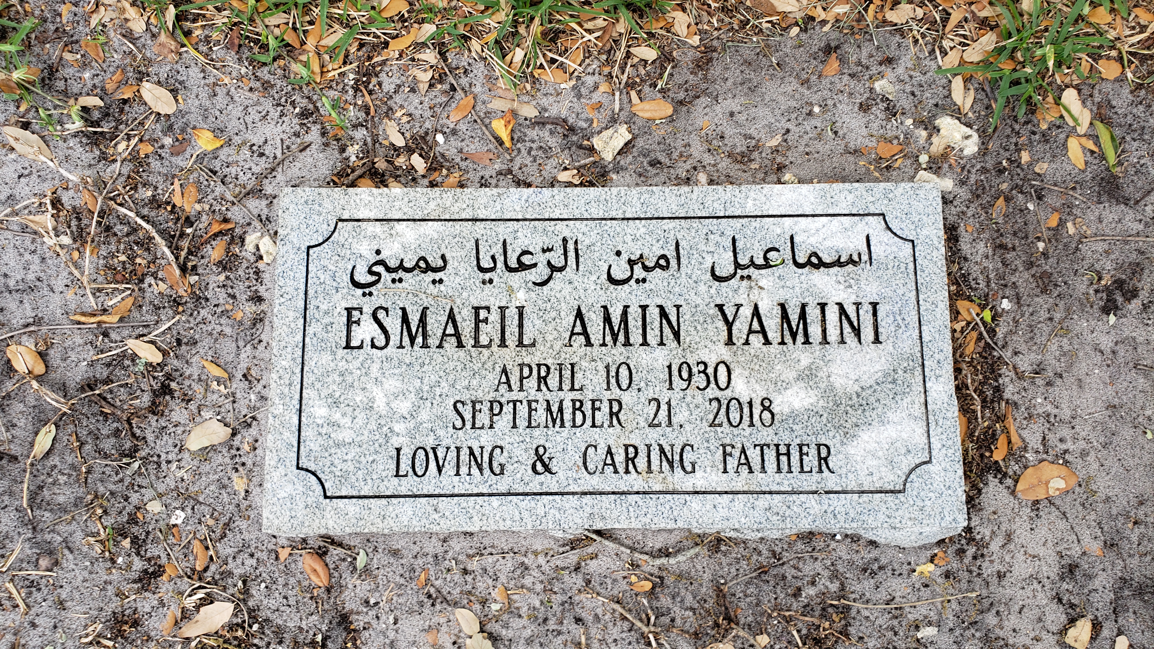Esmaeil Amin Yamini