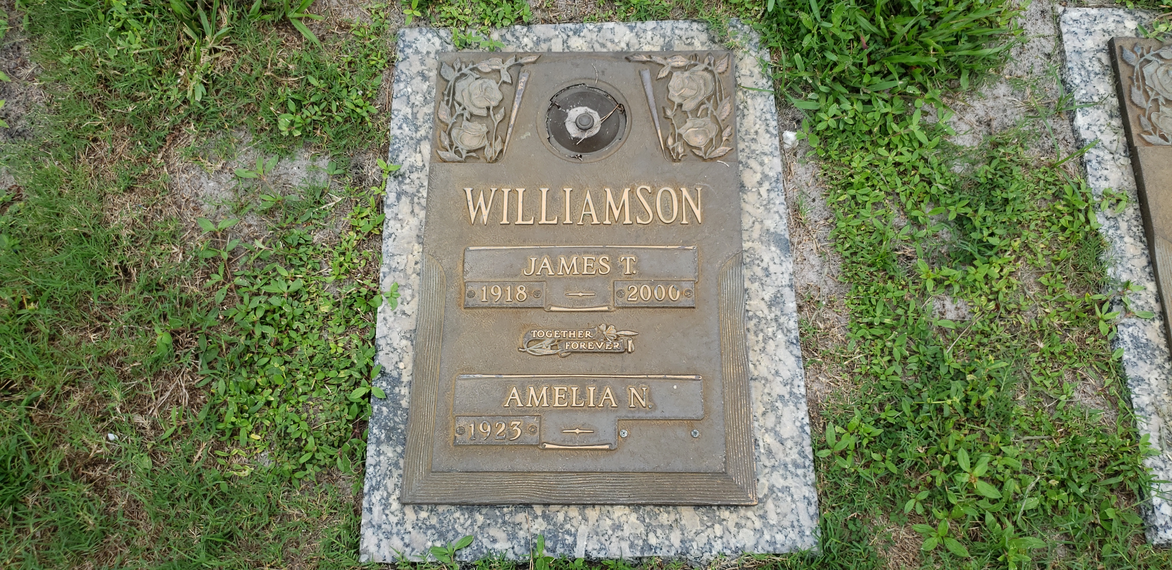 Amelia N Williamson