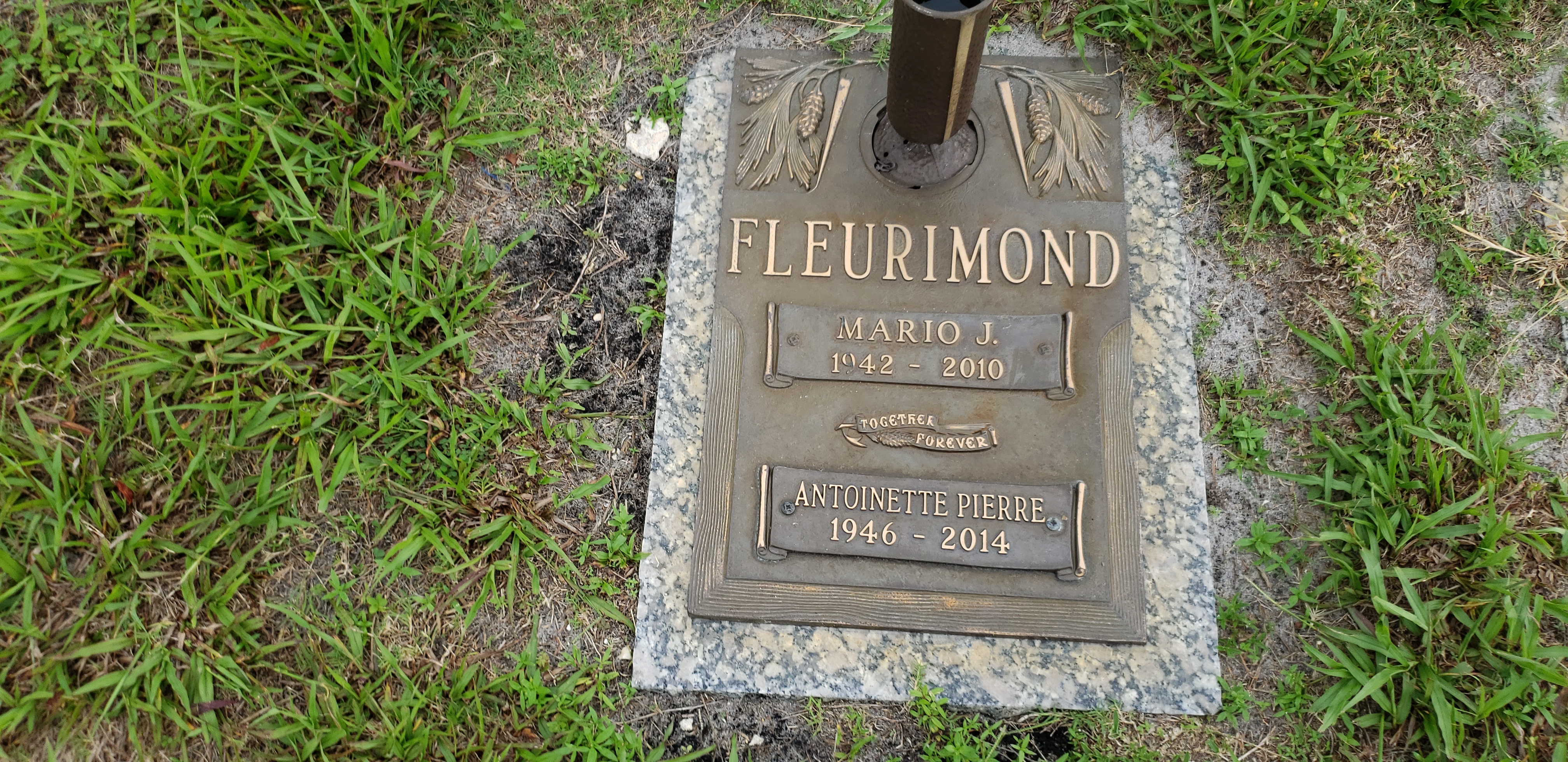 Mario J Fleurimond
