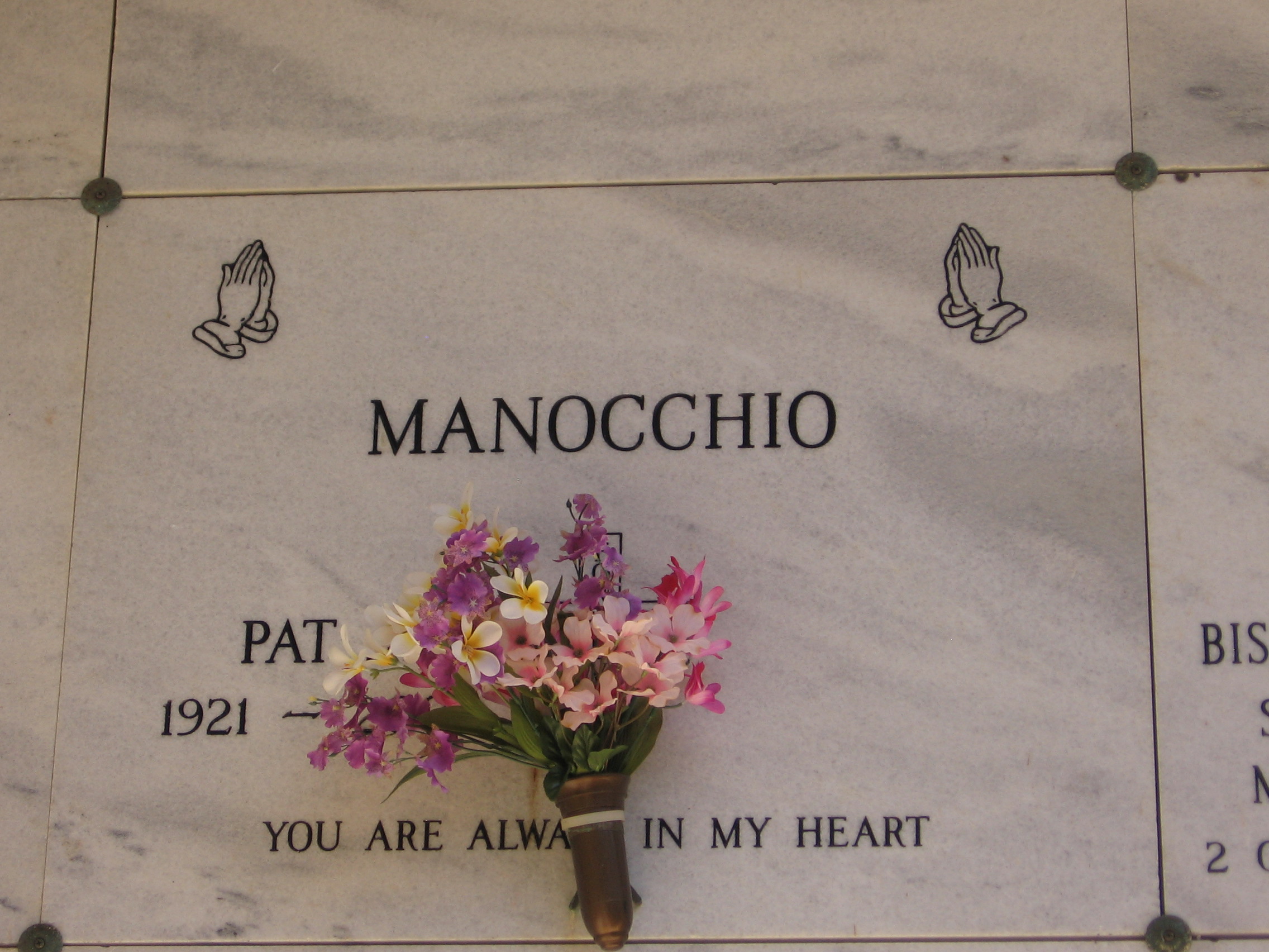 Pat Manocchio