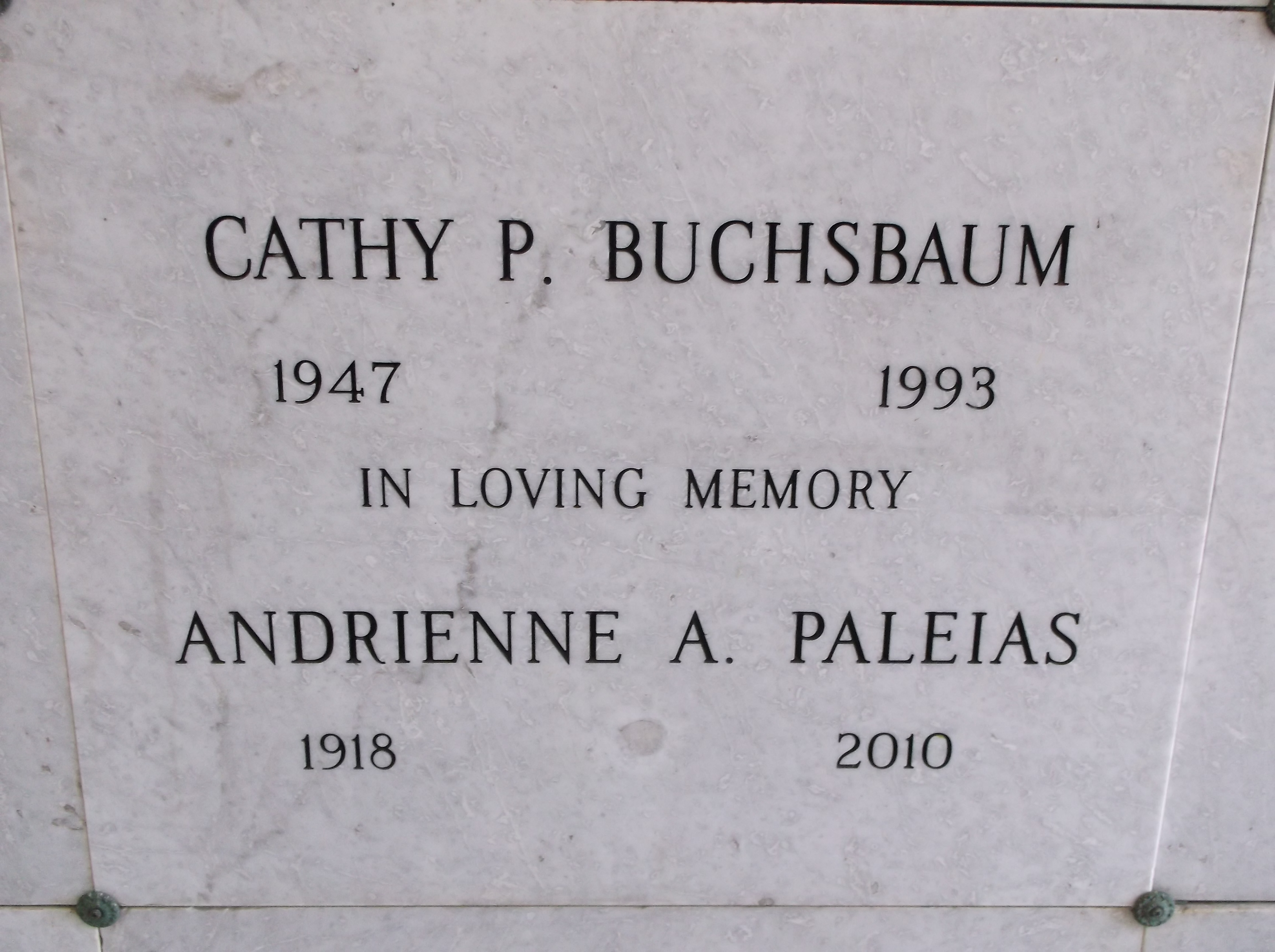 Cathy P Buchsbaum