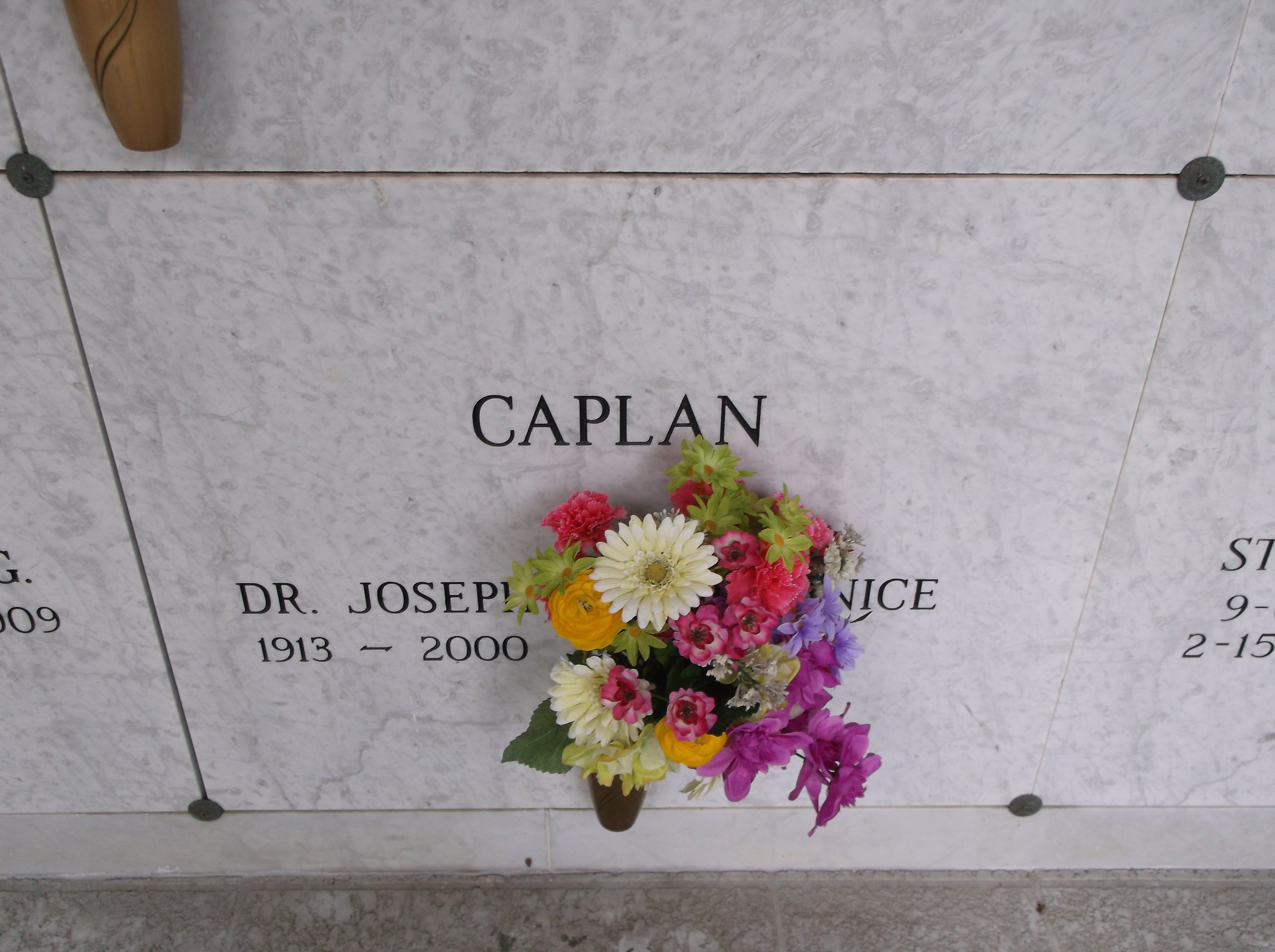 Dr Joseph Caplan