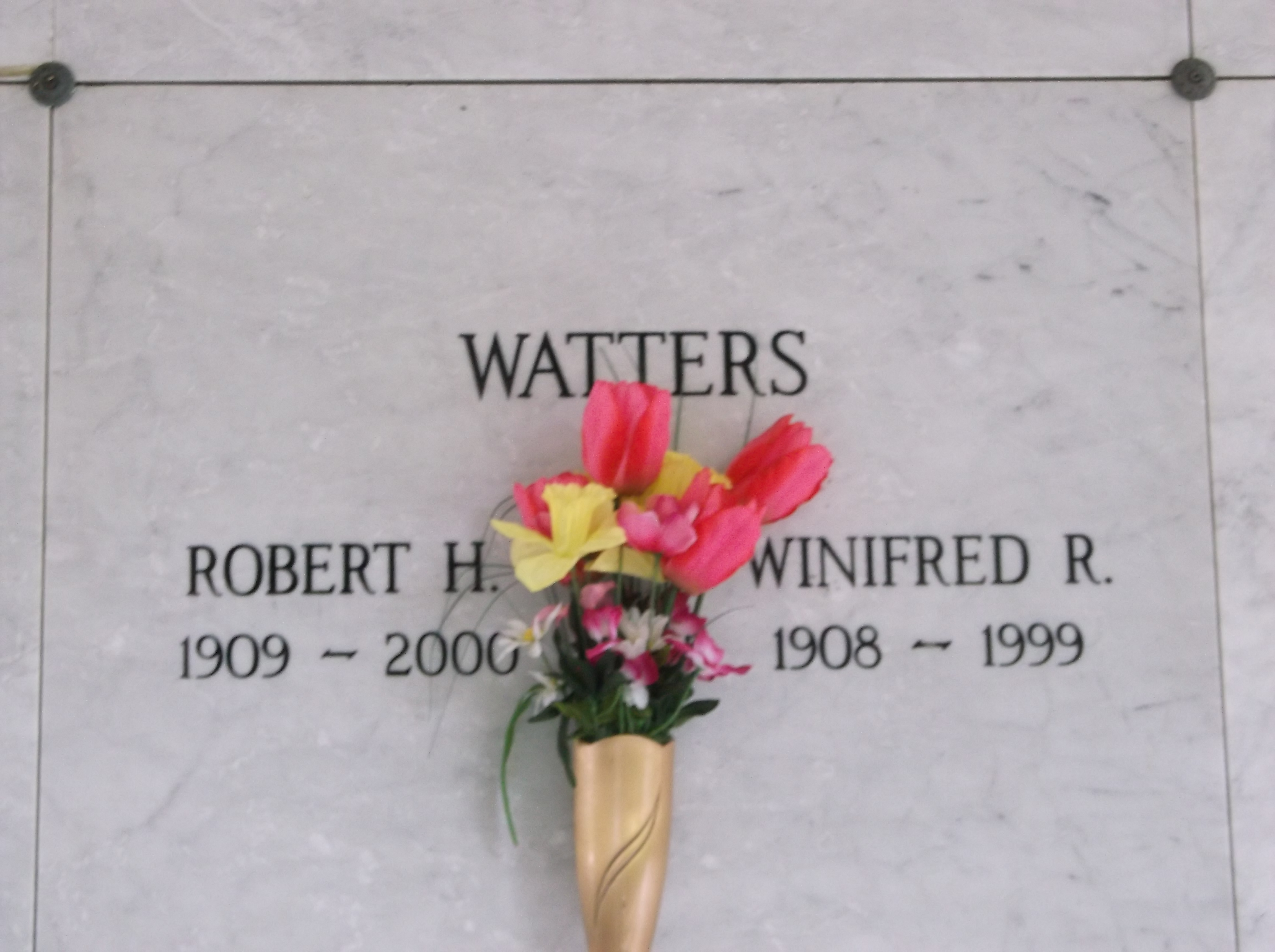 Winifred R Watters