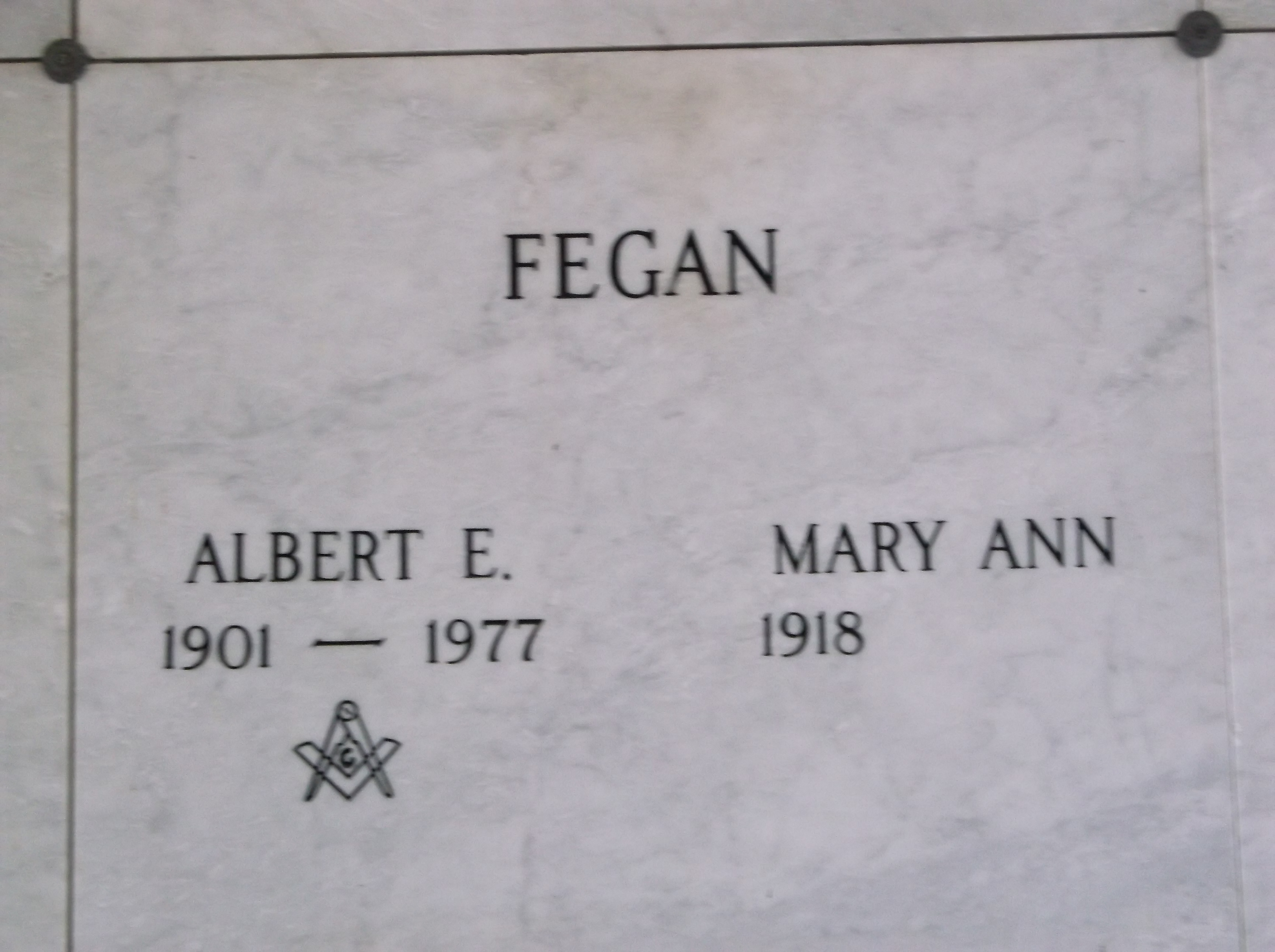Albert E Fegan