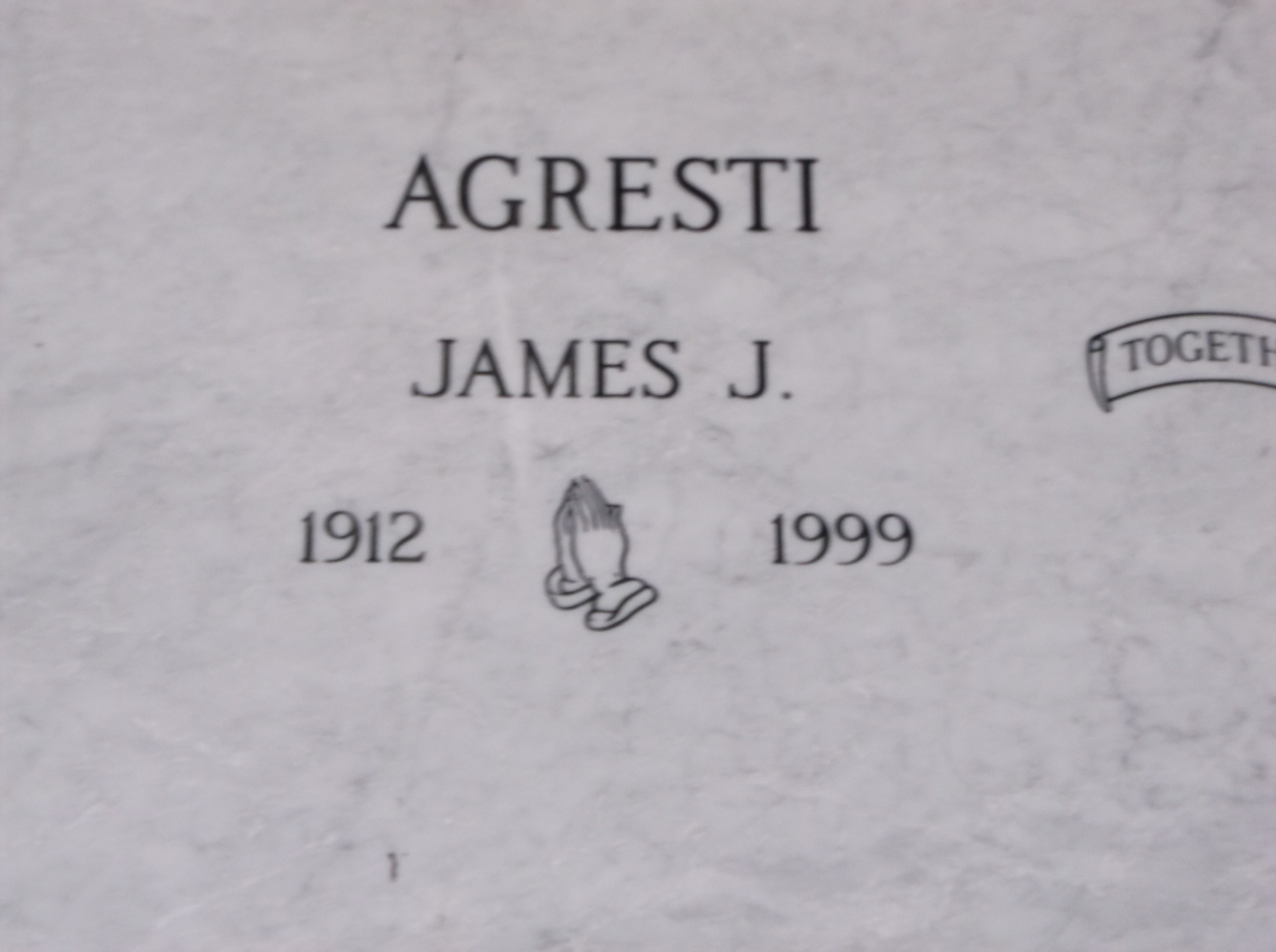 James J Agresti