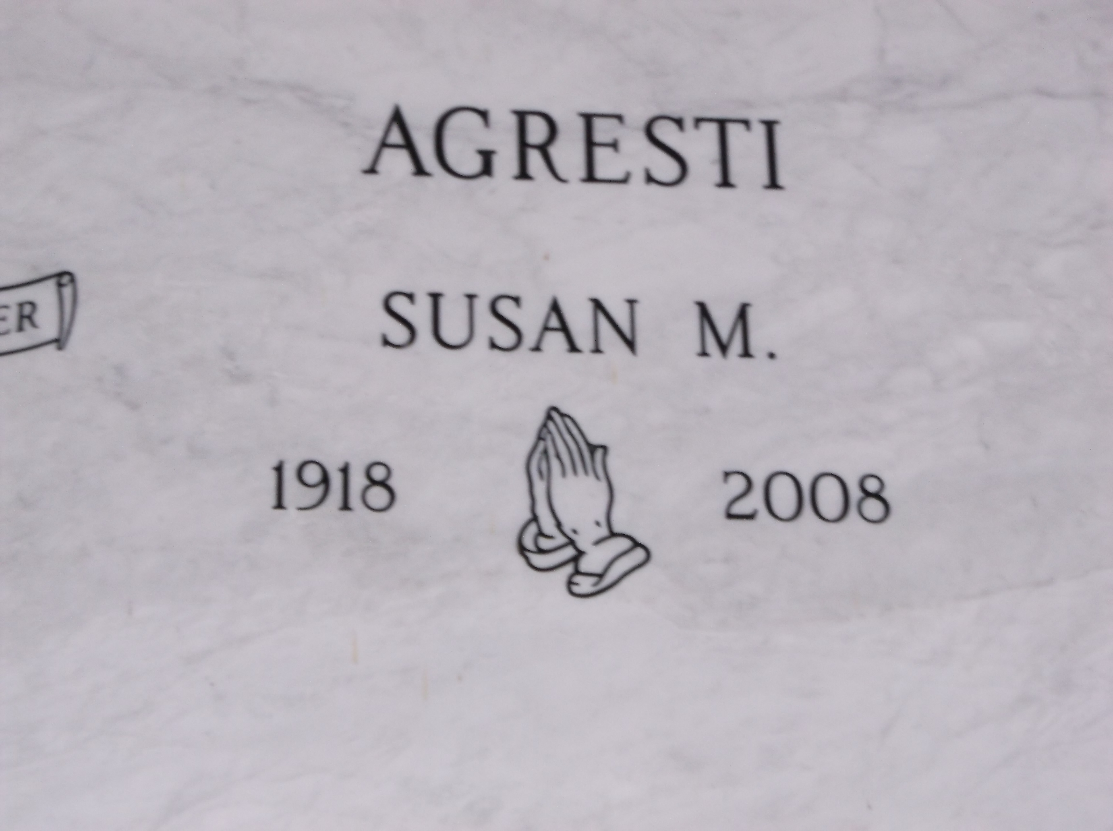 Susan M Agresti