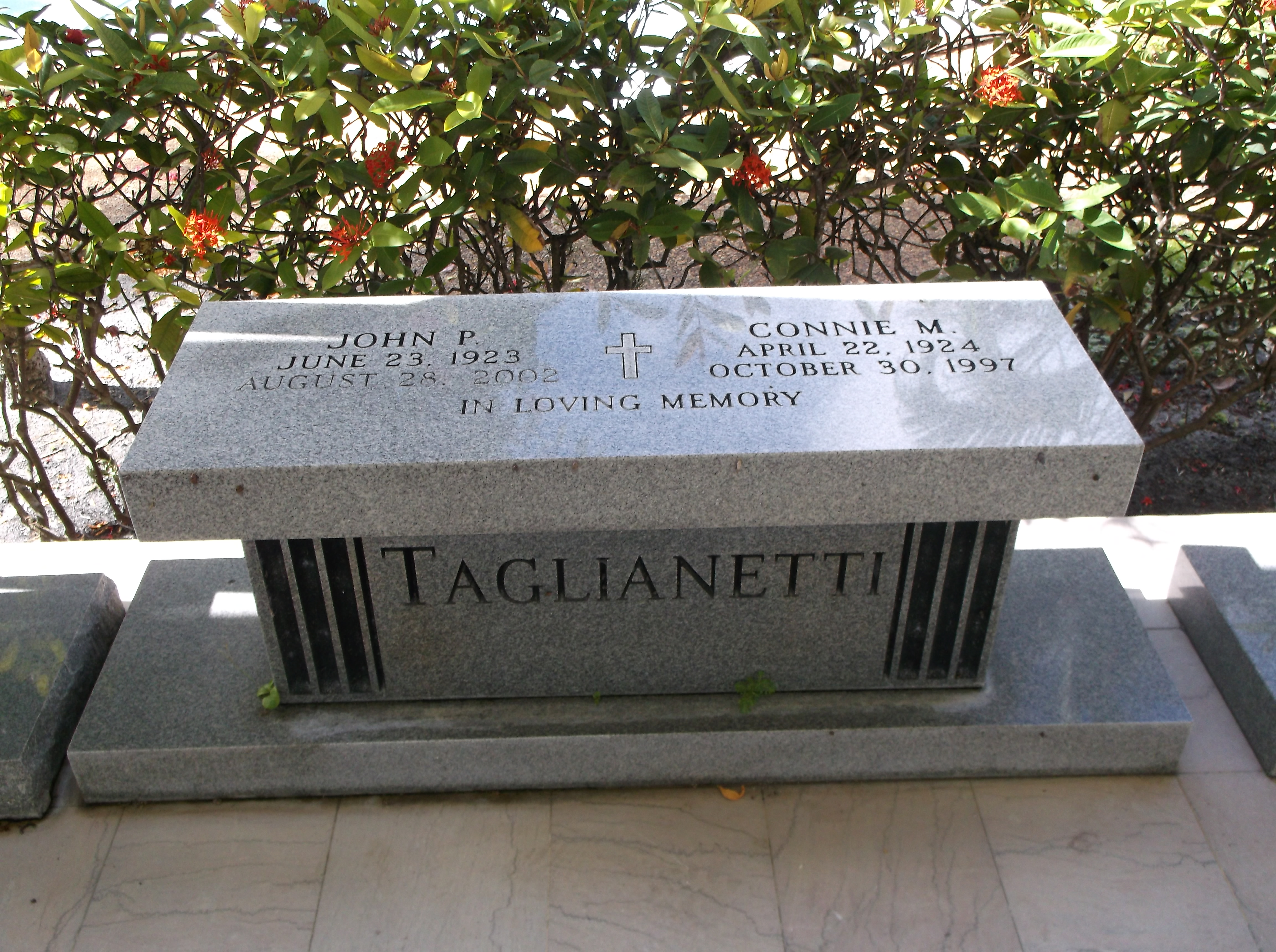 Connie M Taglianetti