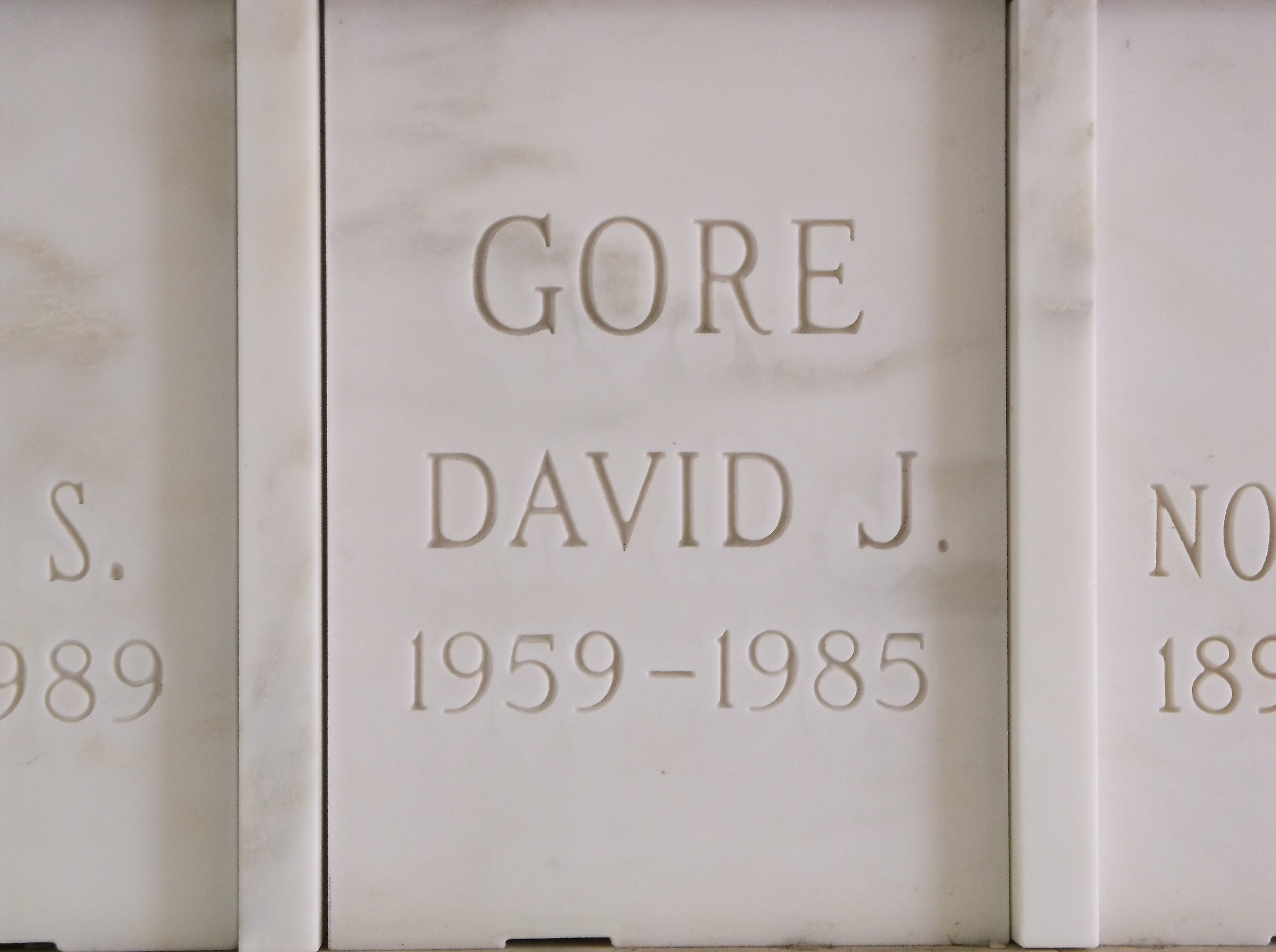 David J Gore
