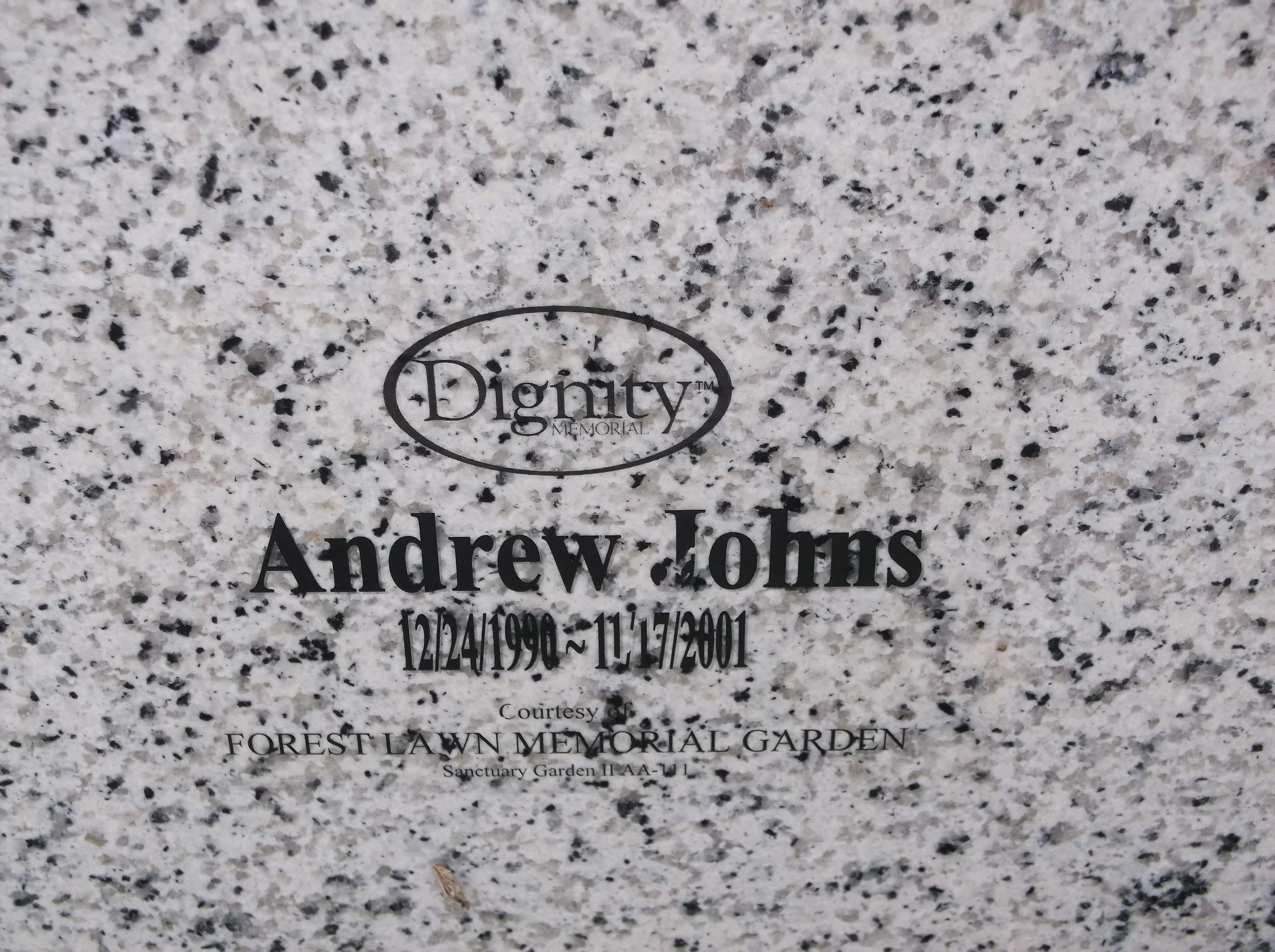 Andrew Johns