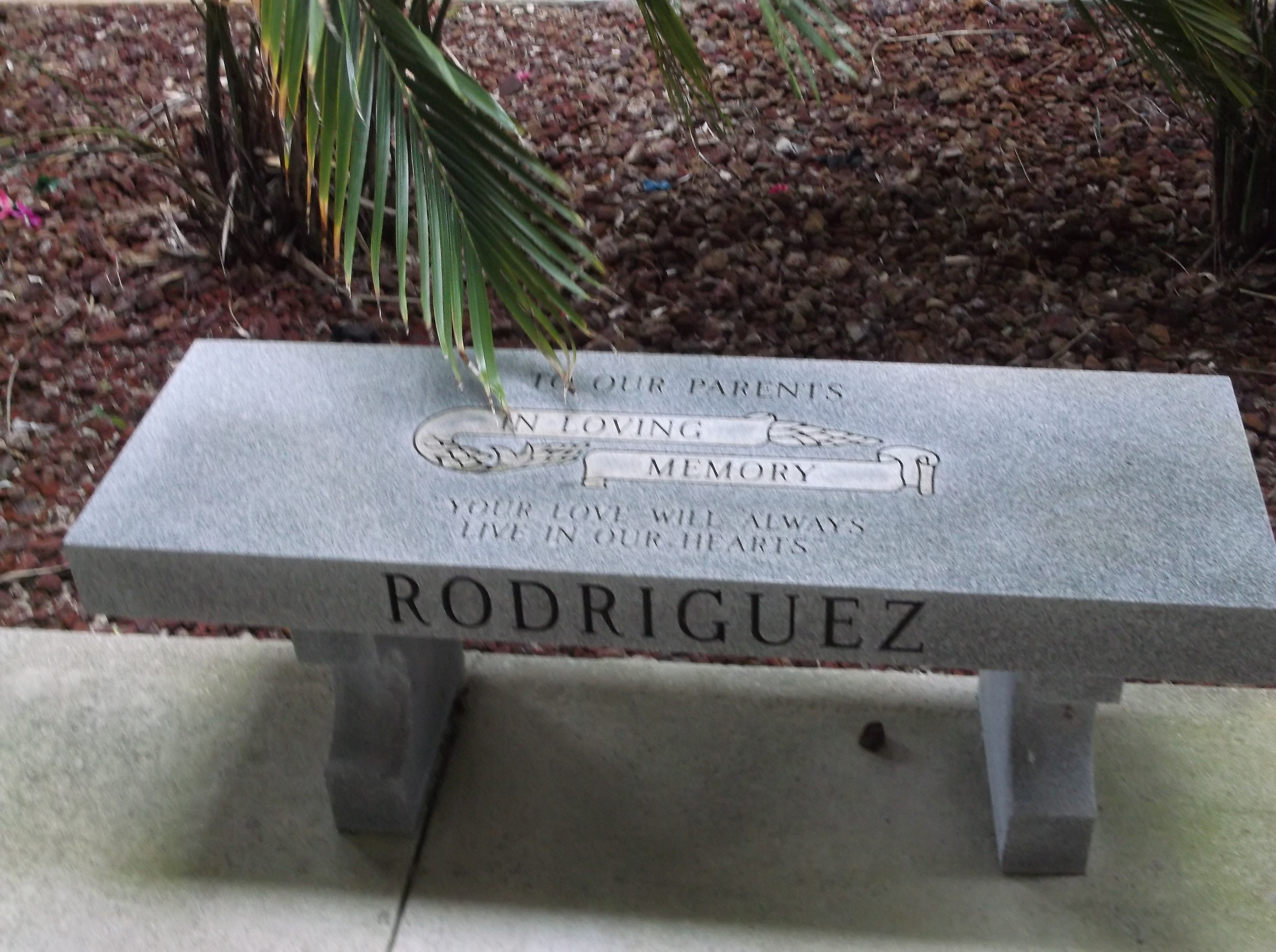 Francis Yara Rodriguez