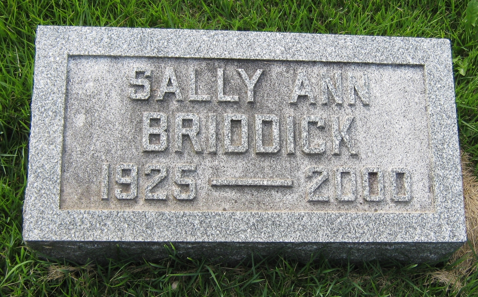 Sally Ann Briddick
