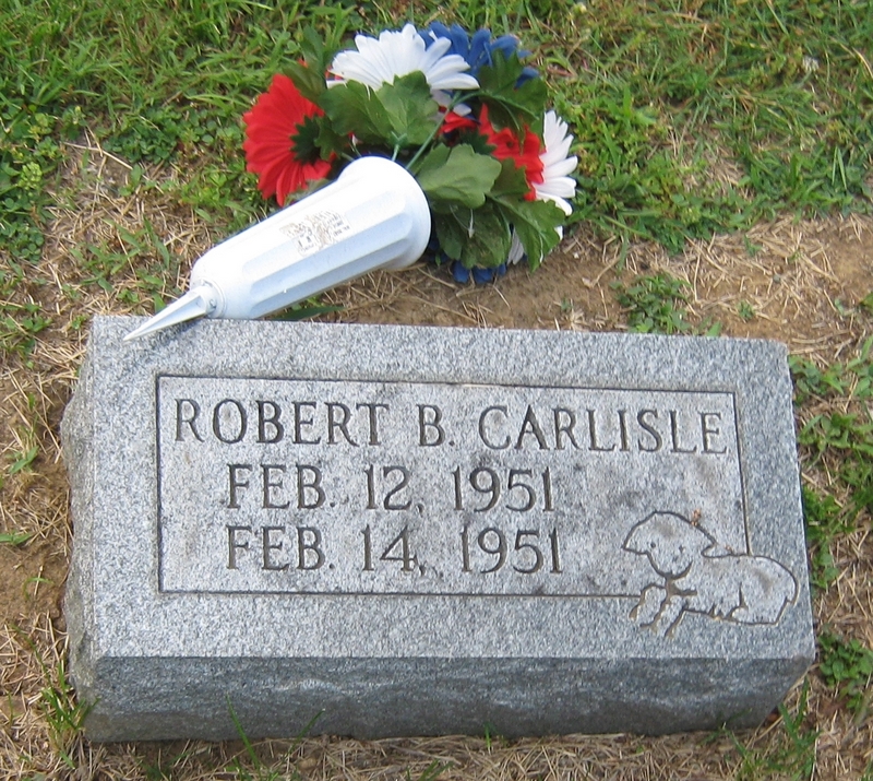 Robert B Carlisle