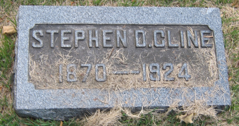 Stephen D Cline