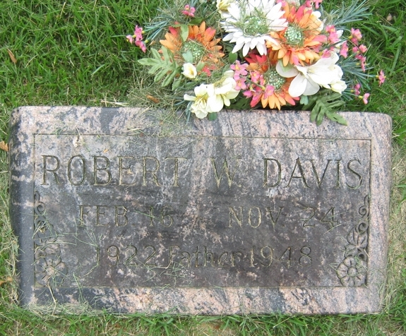 Robert W Davis