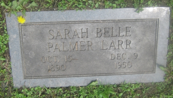Sarah Belle Palmer Larr