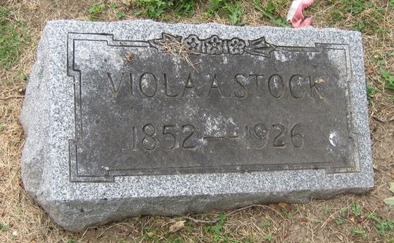 Viola A Stock