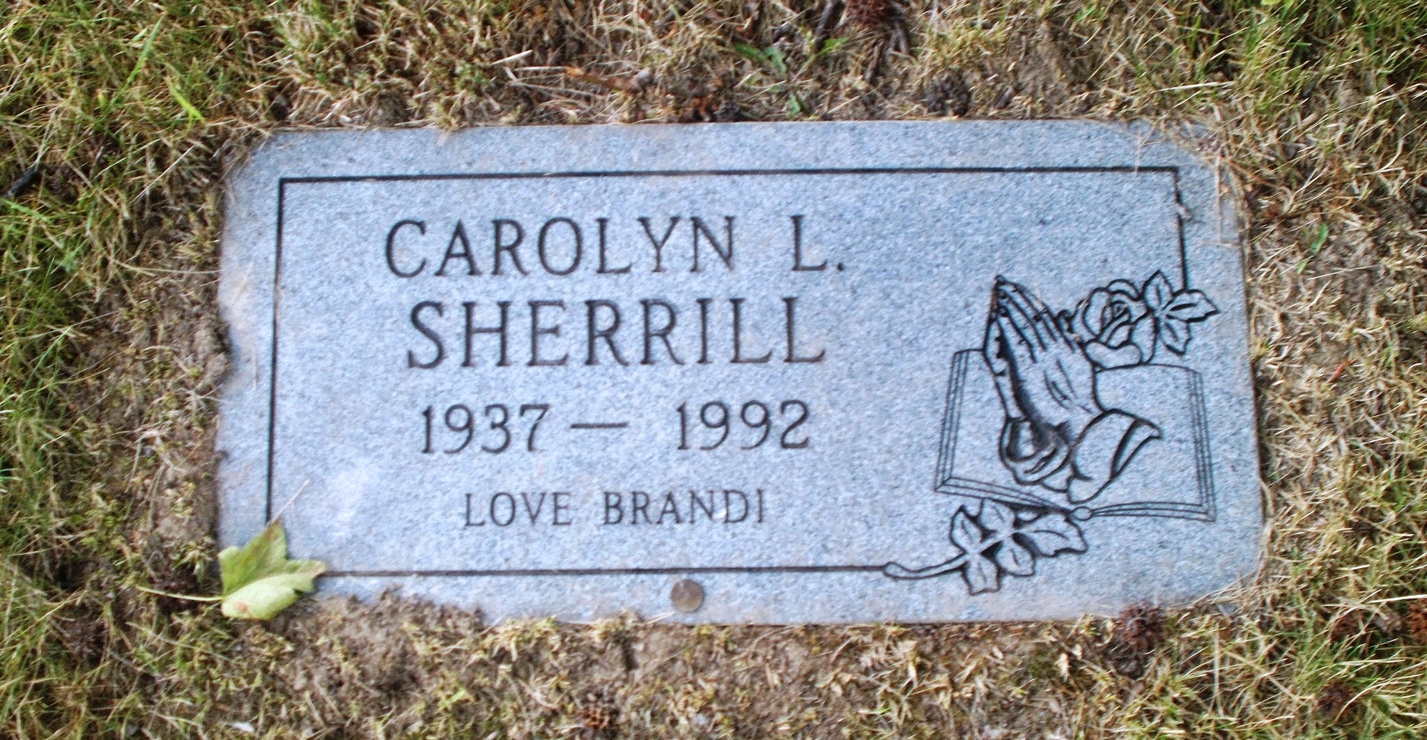 Carolyn L Sherrill