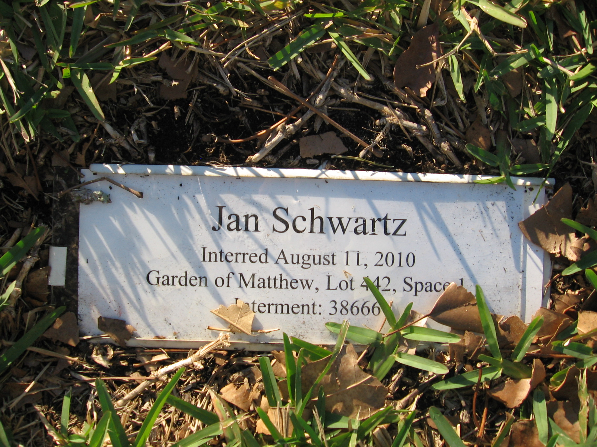 Jan Schwartz