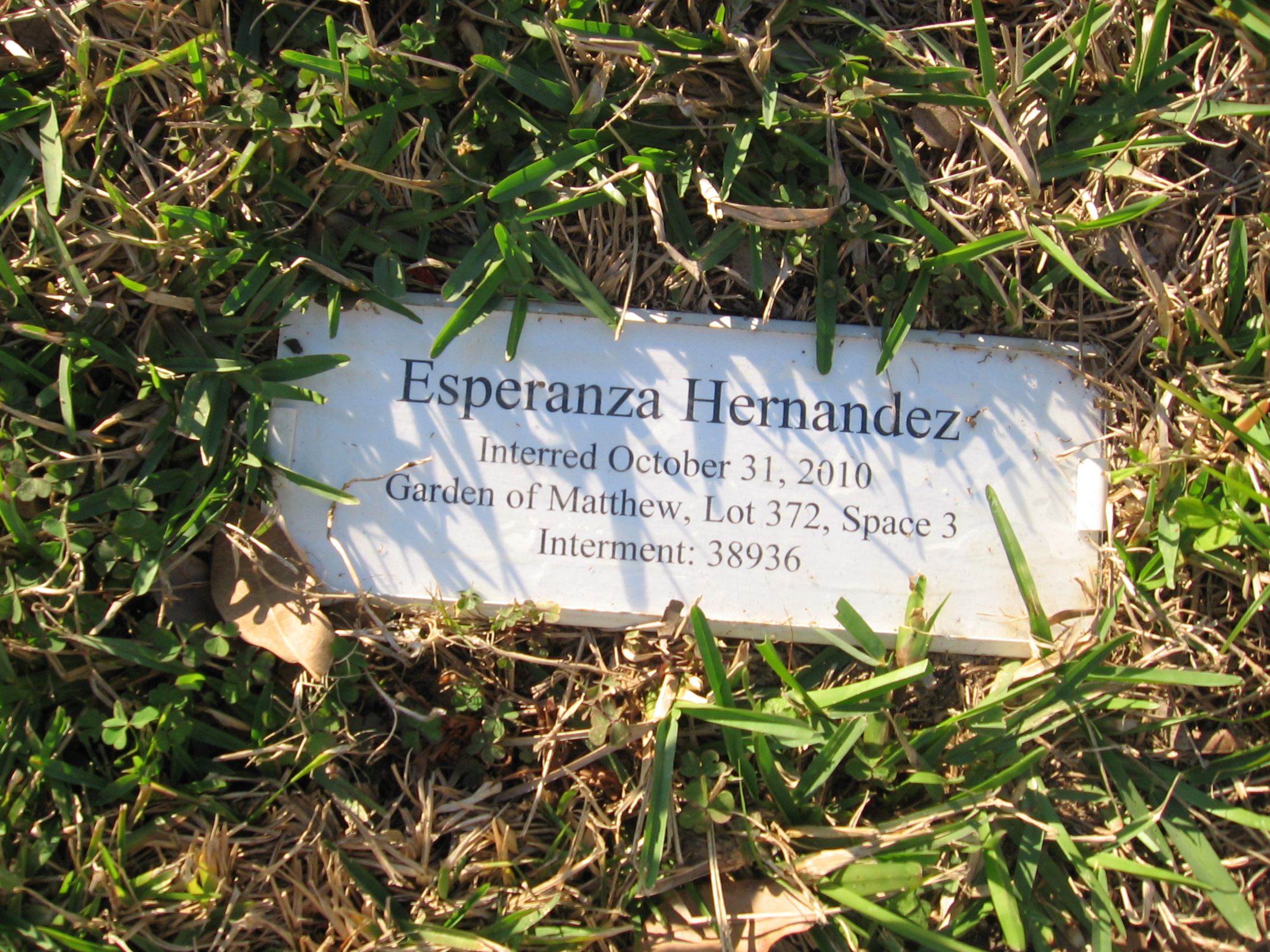 Esperanza Hernandez