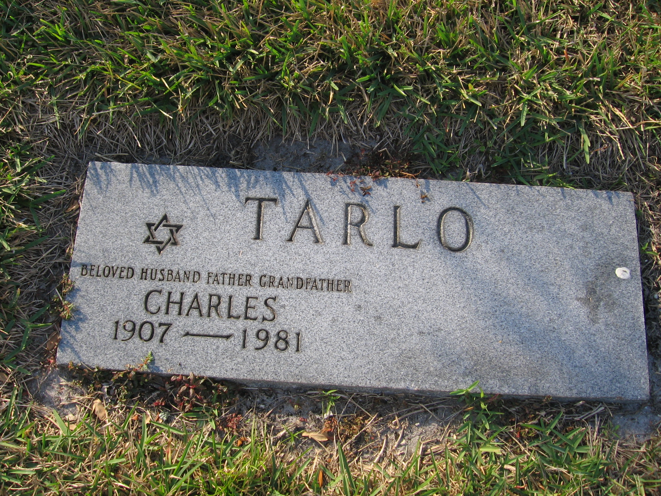 Charles Tarlo