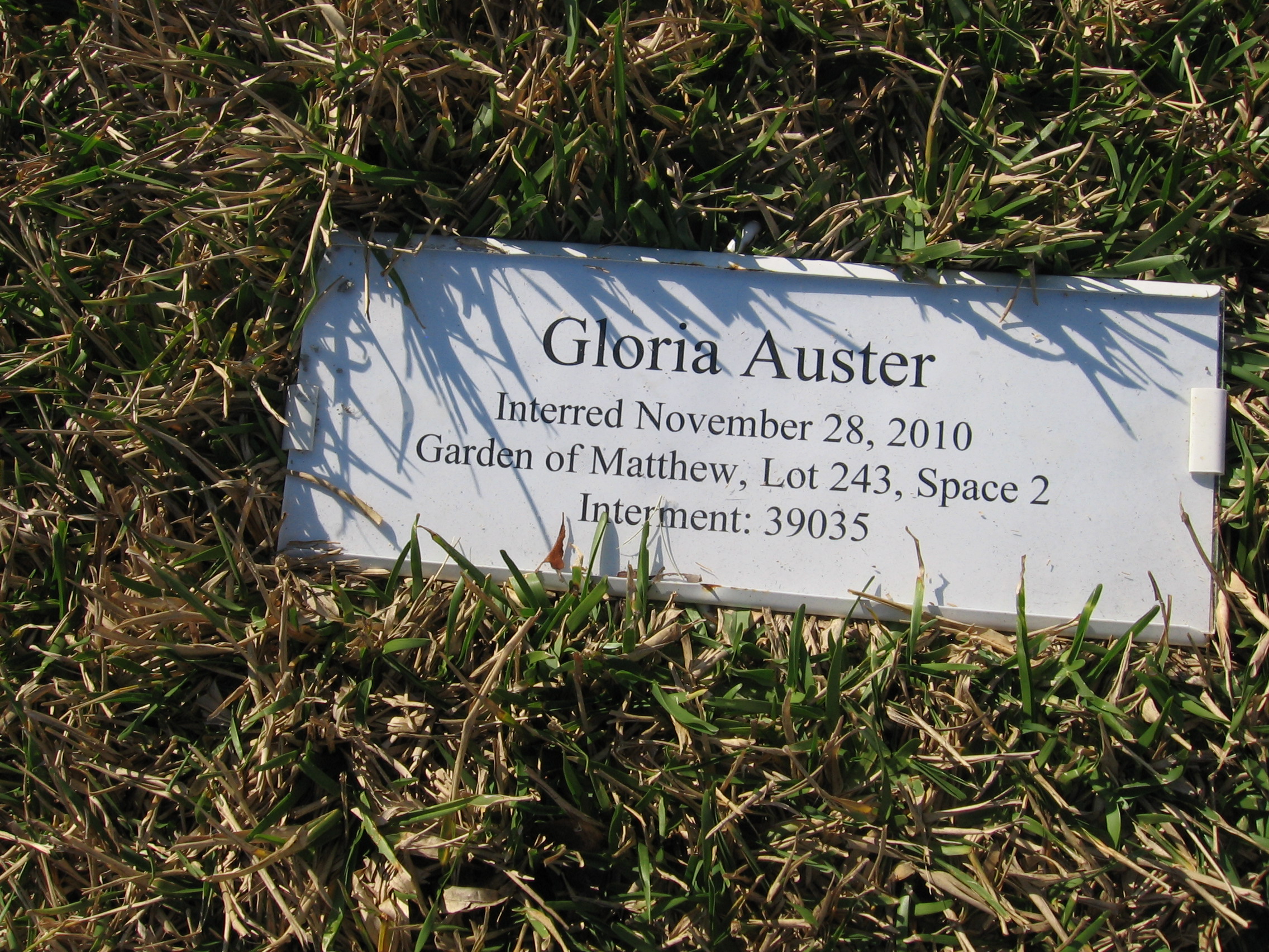 Gloria Auster