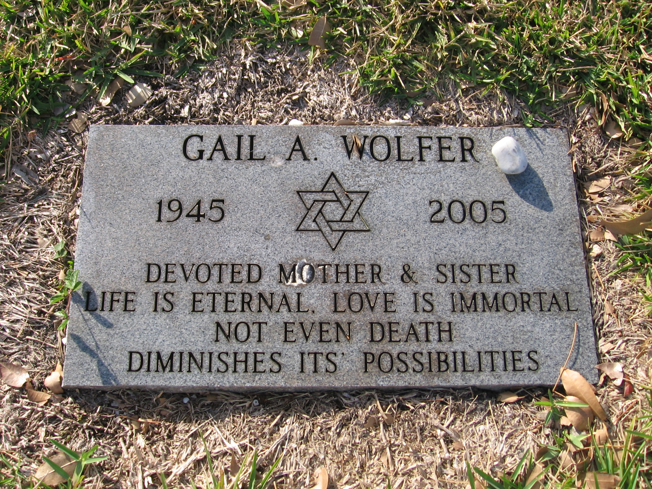 Gail A Wolfer