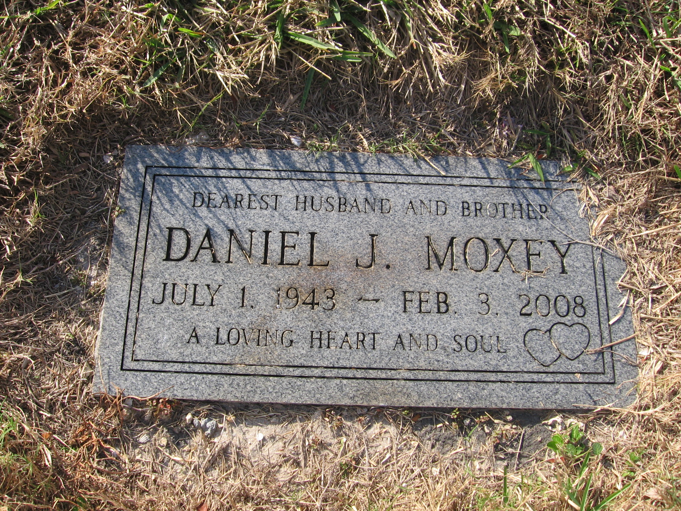 Daniel J Moxey
