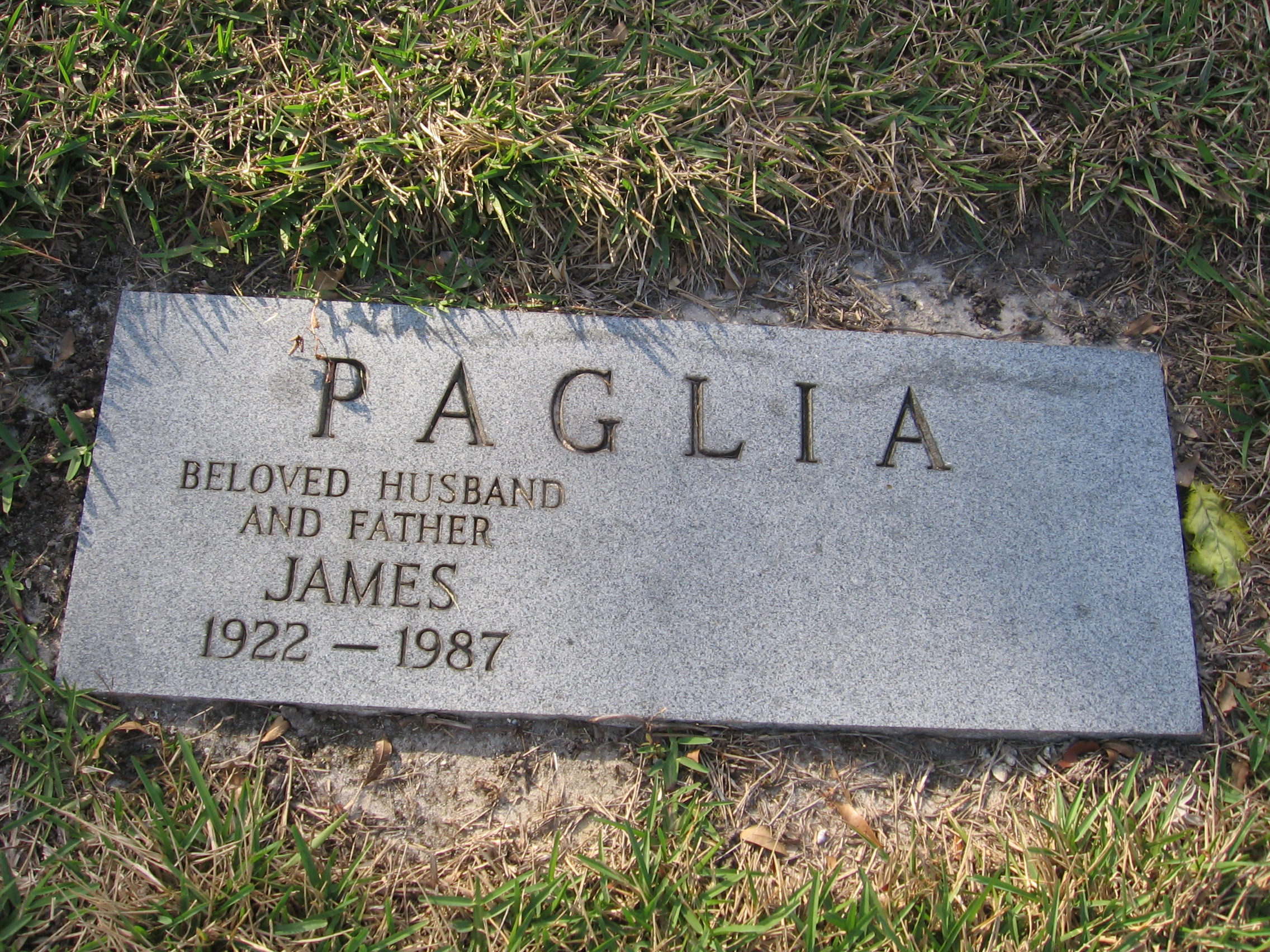 James Paglia
