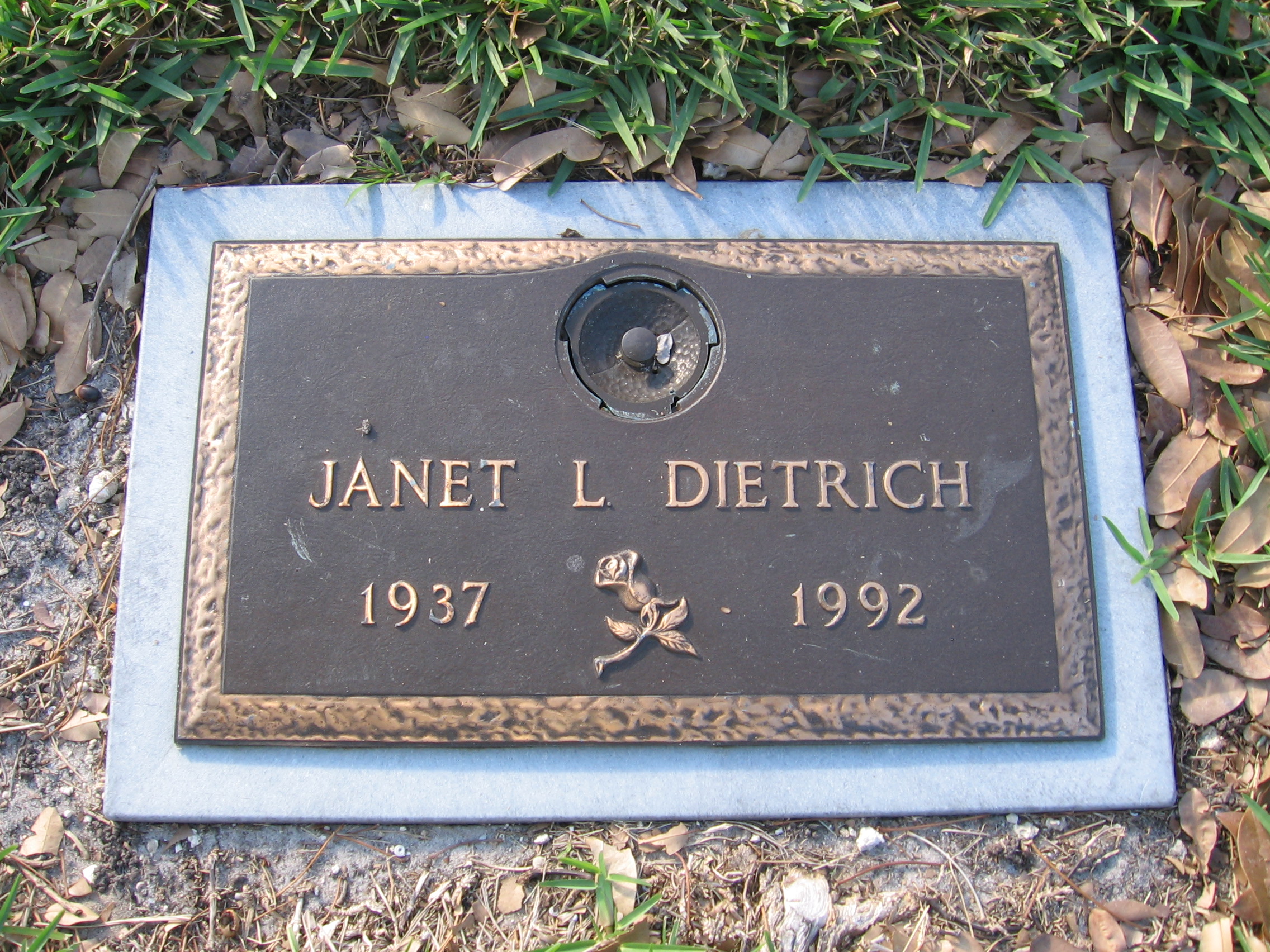 Janet L Dietrich