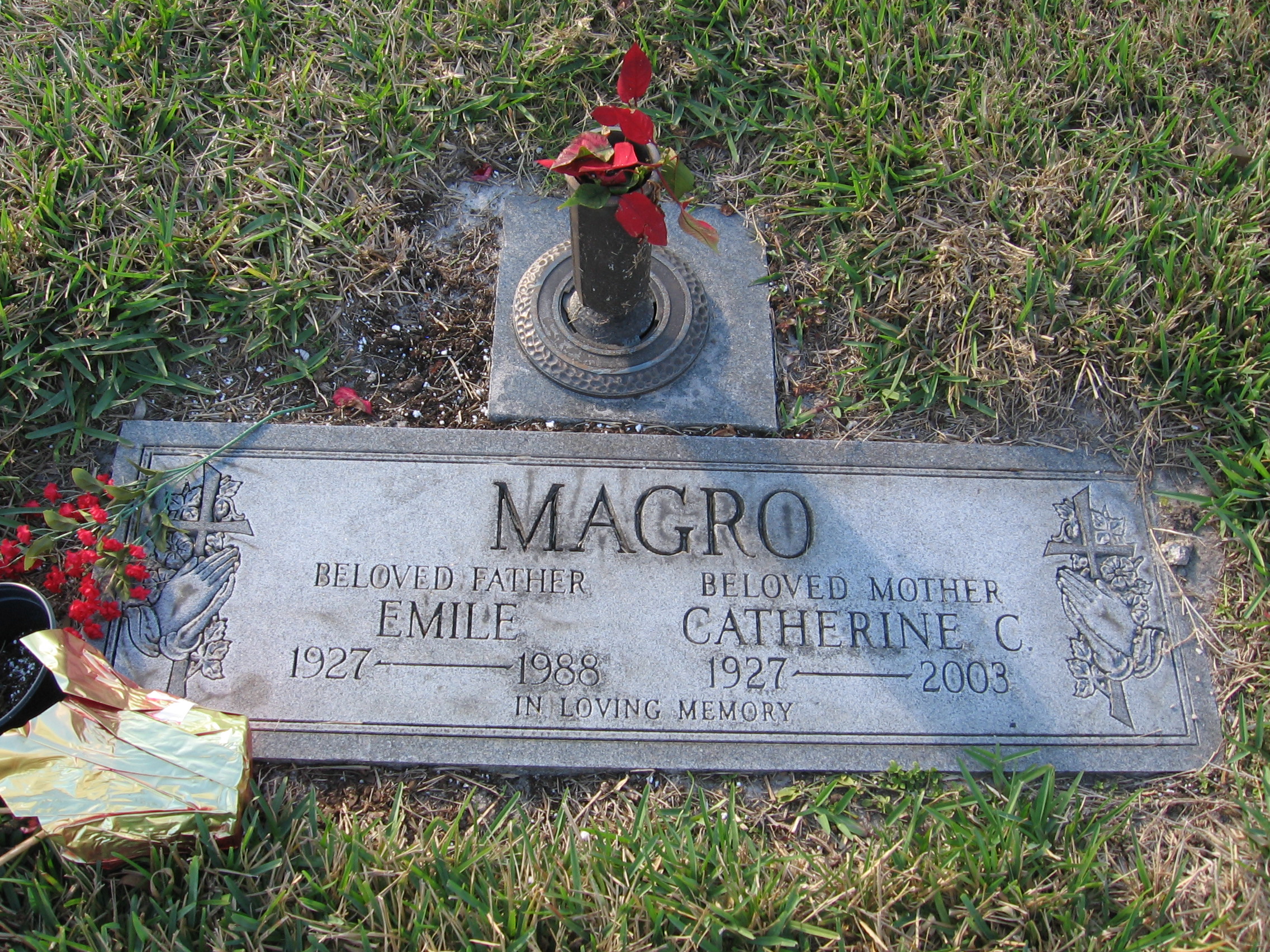 Catherine C Magro