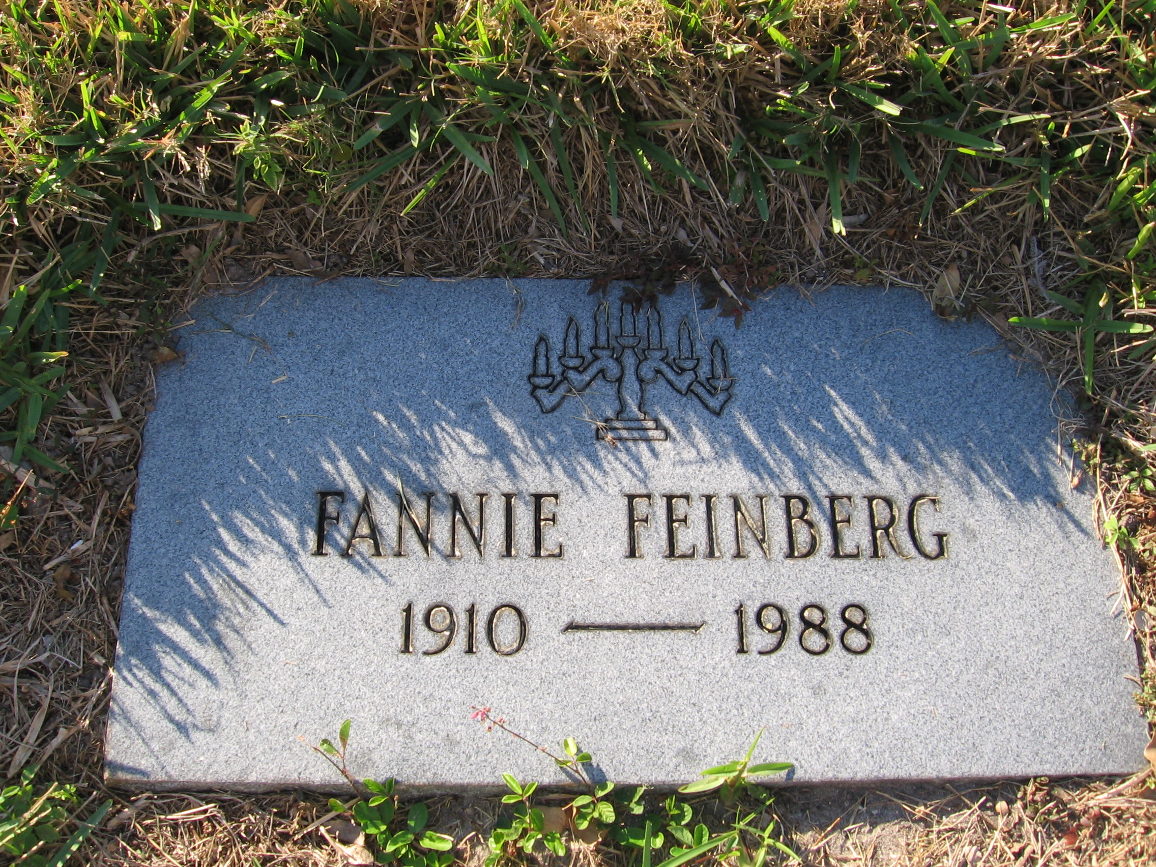 Fannie Feinberg