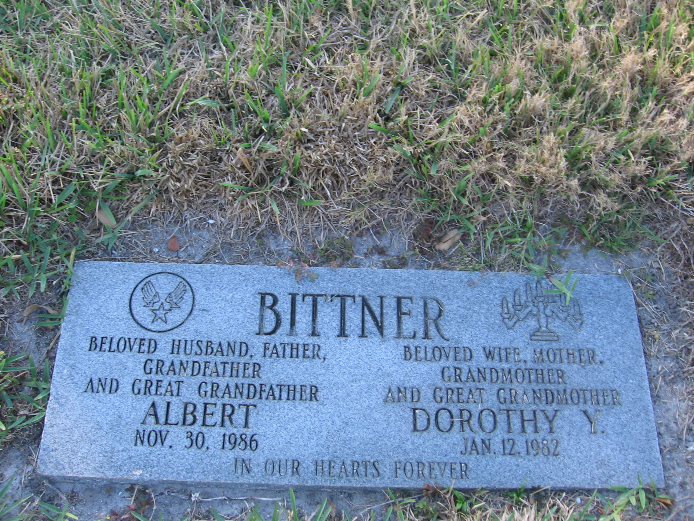 Dorothy Y Bittner