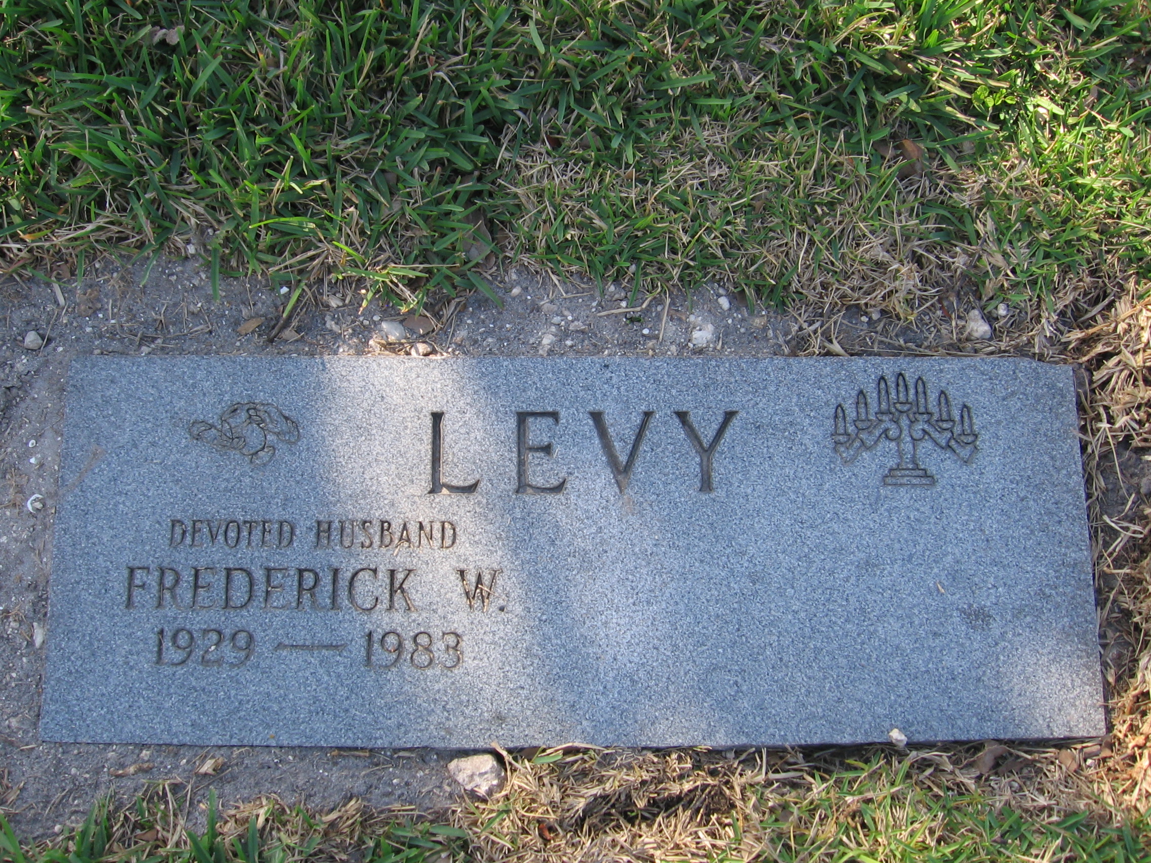 Frederick W Levy