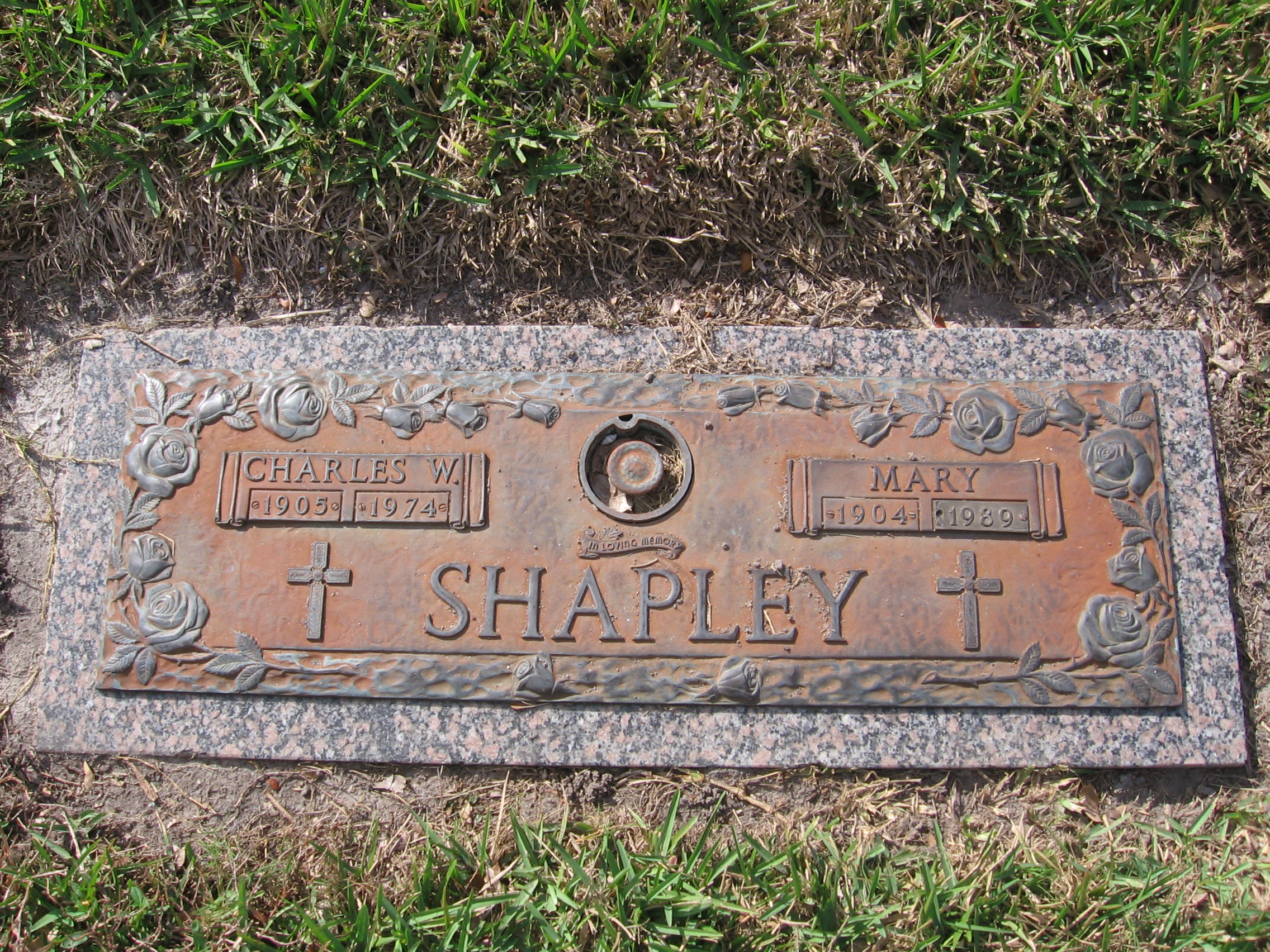 Charles W Shapley