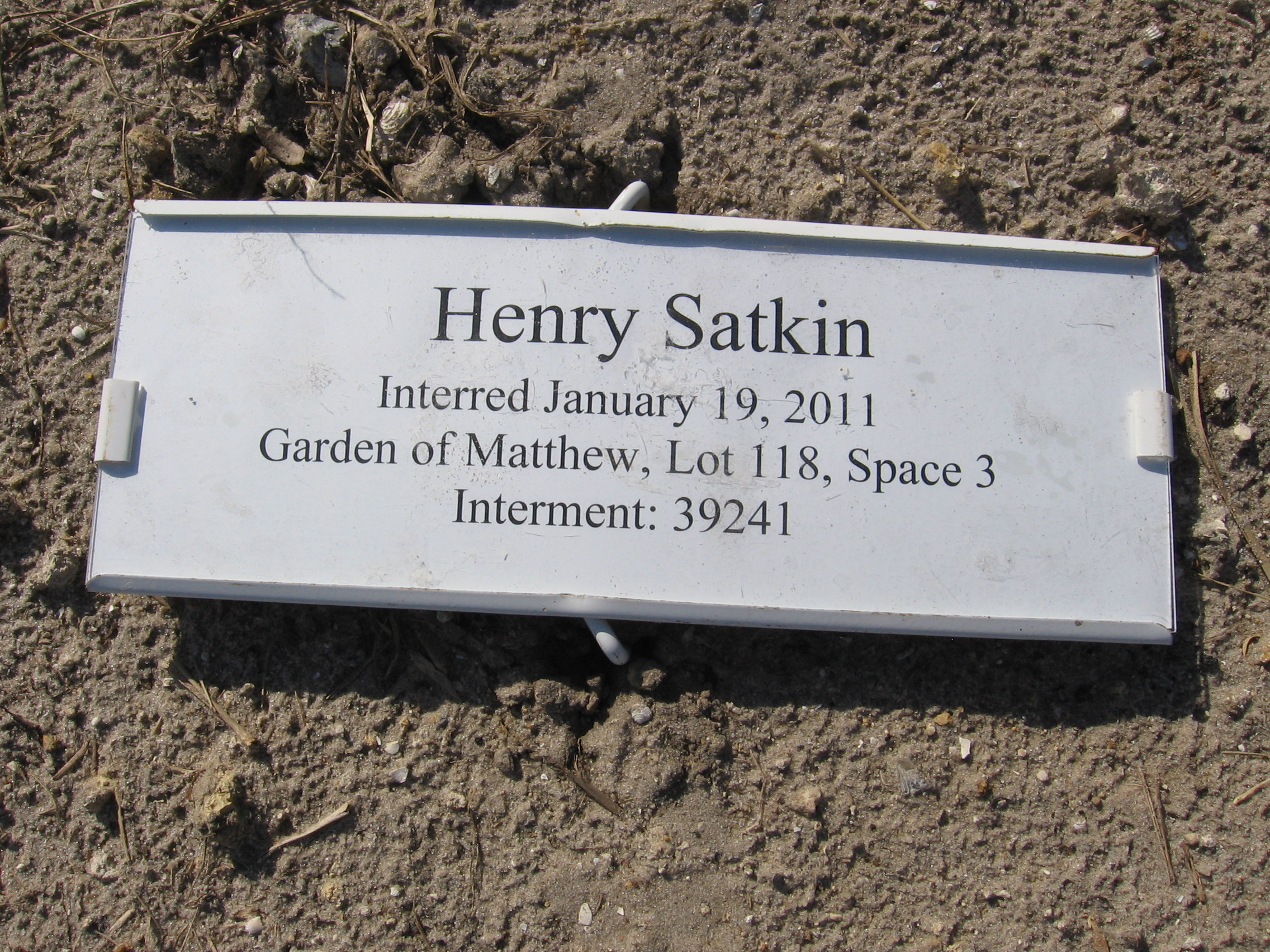 Henry Satkin