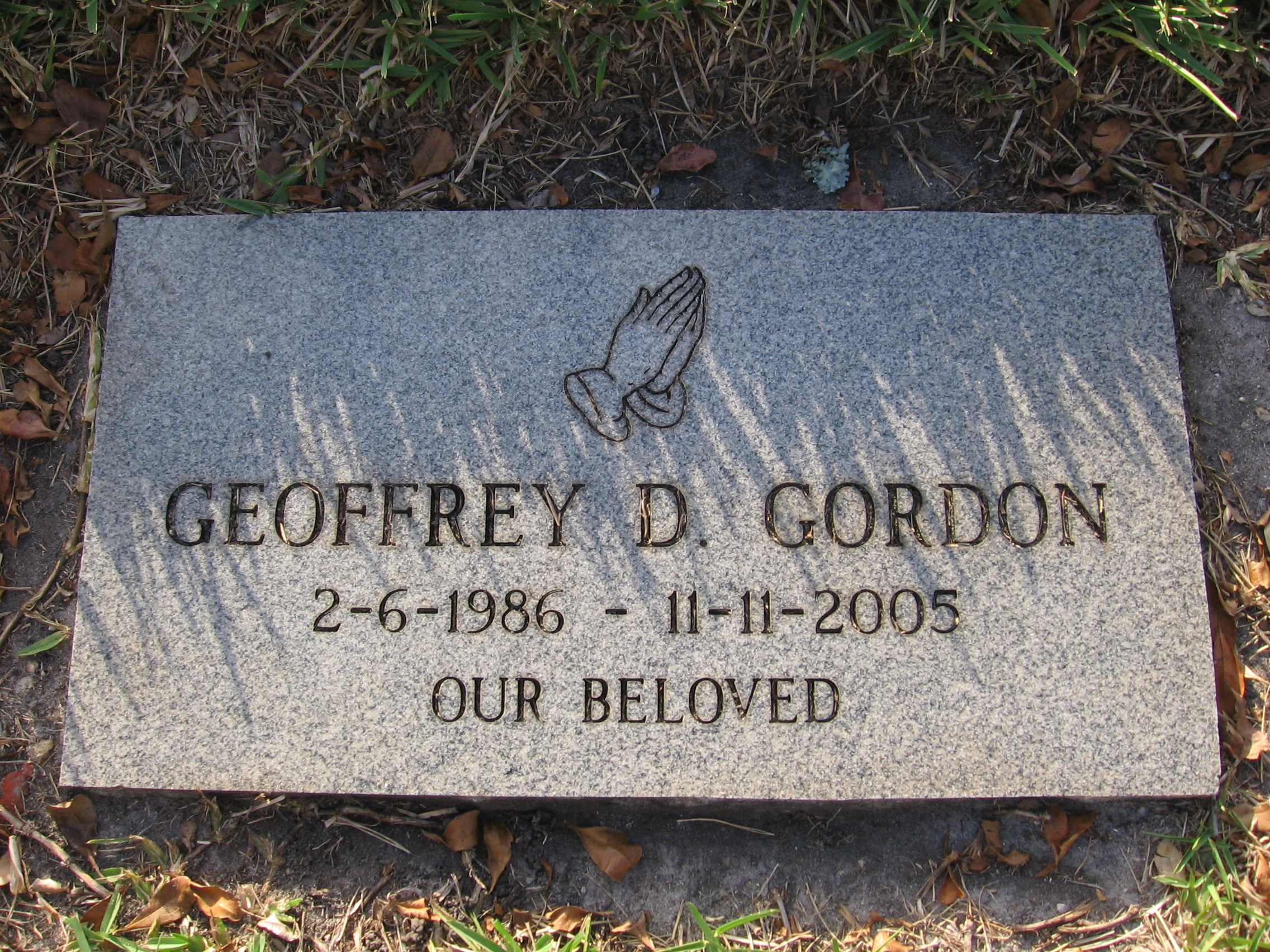 Geoffrey D Gordon