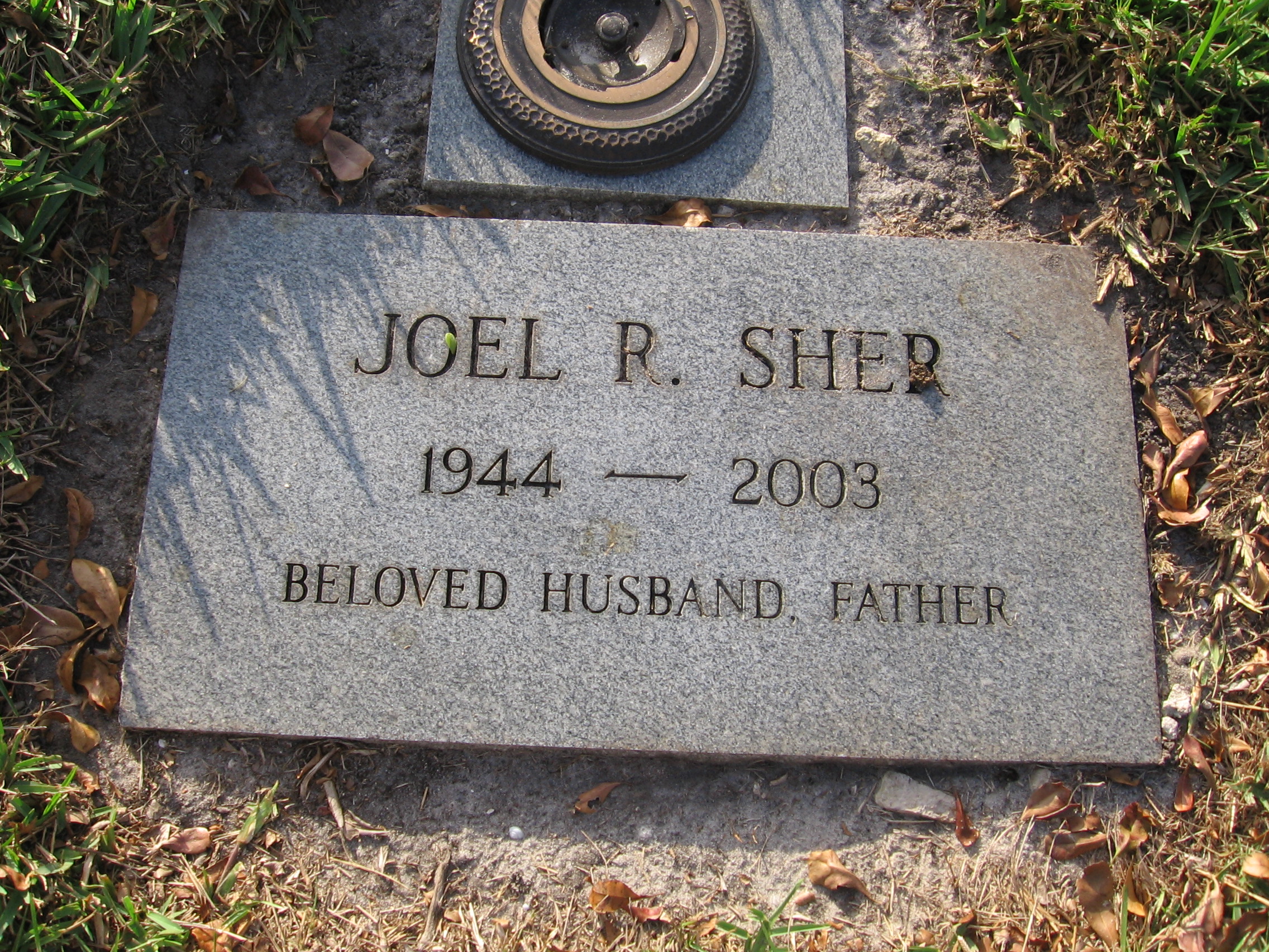 Joel R Sher