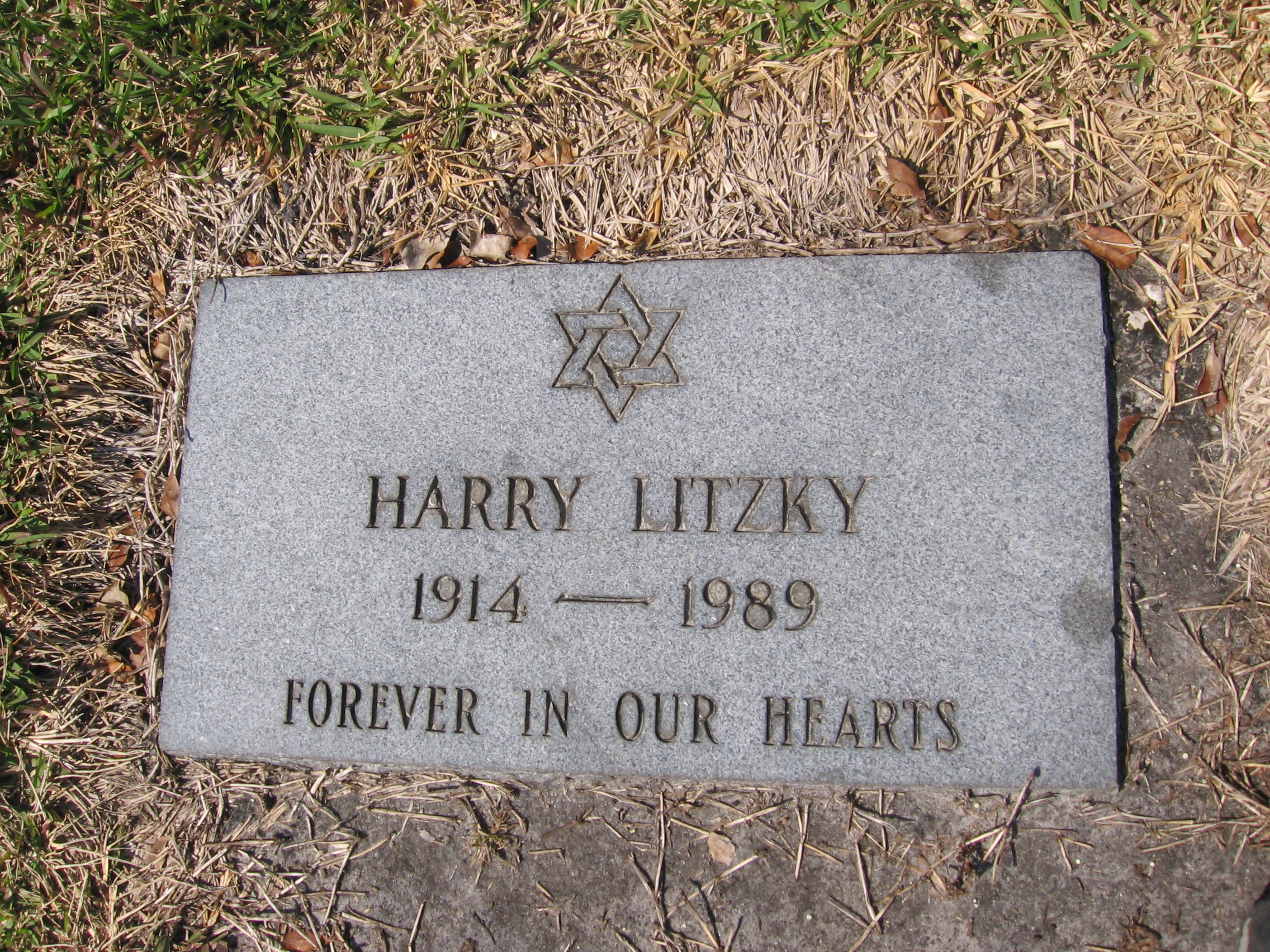 Harry Litzky Harry Litzky