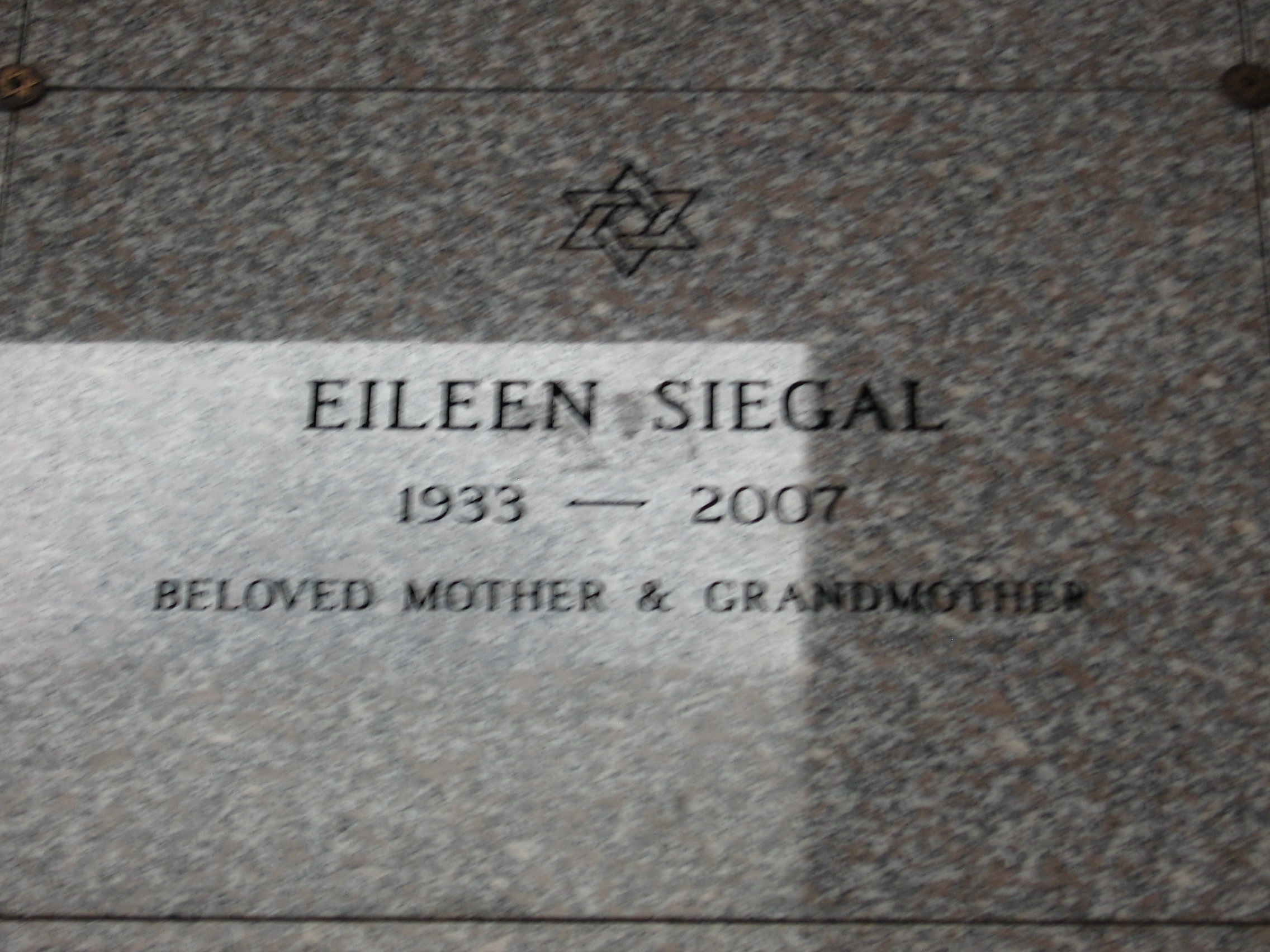 Eileen Siegal
