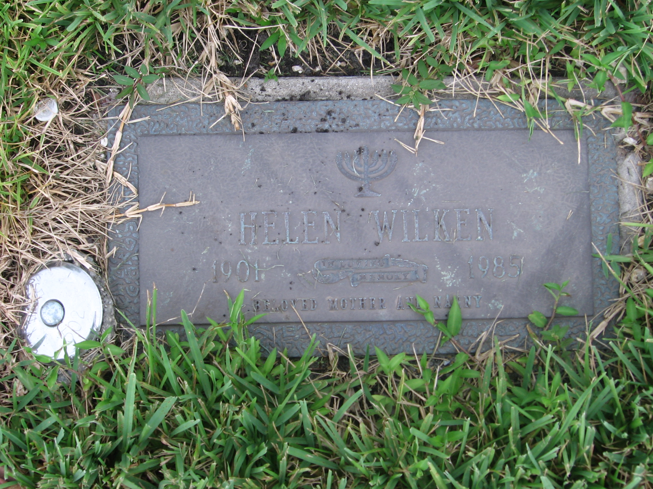 Helen Wilken Helen Wilken