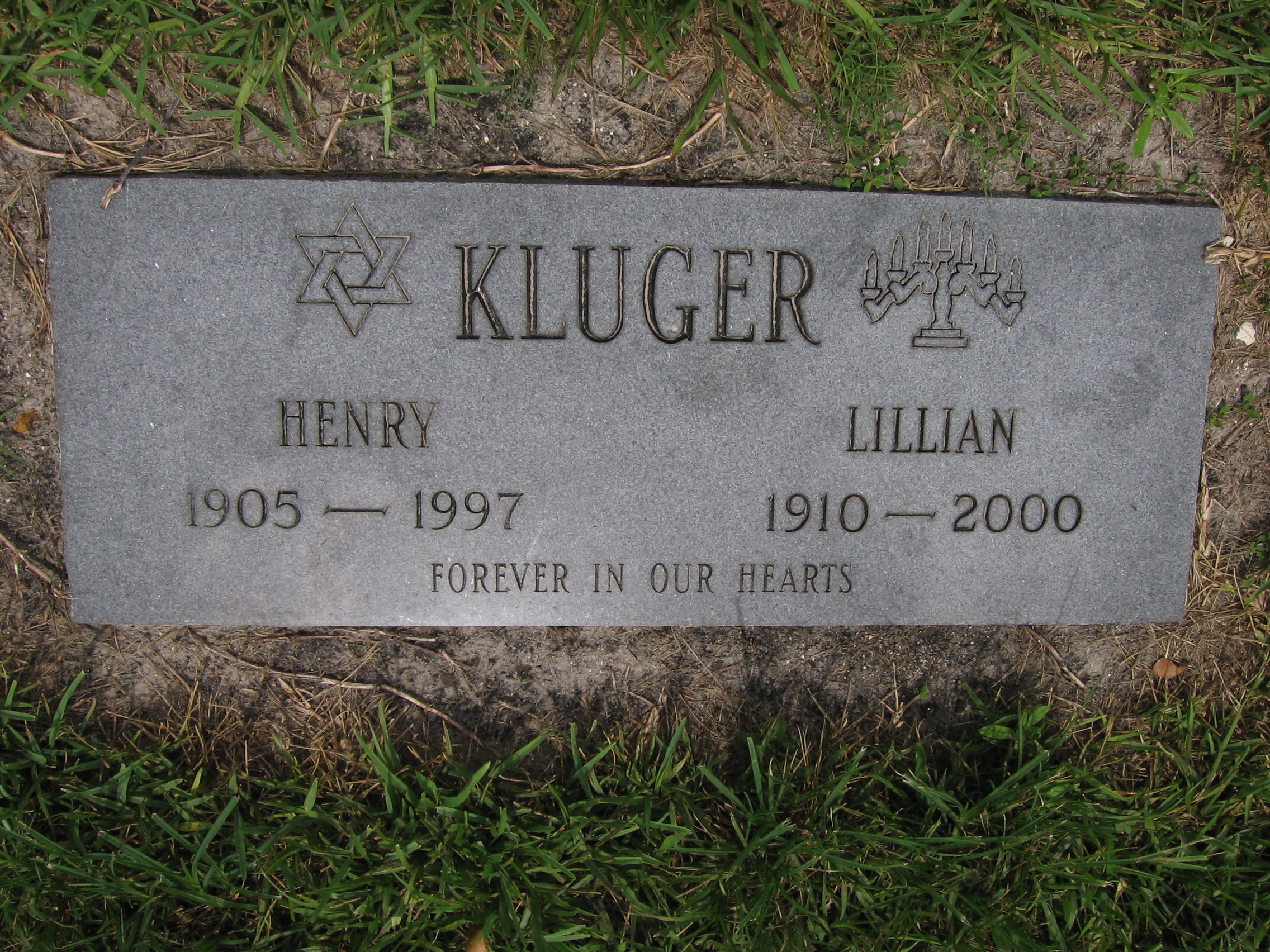 Henry Kluger