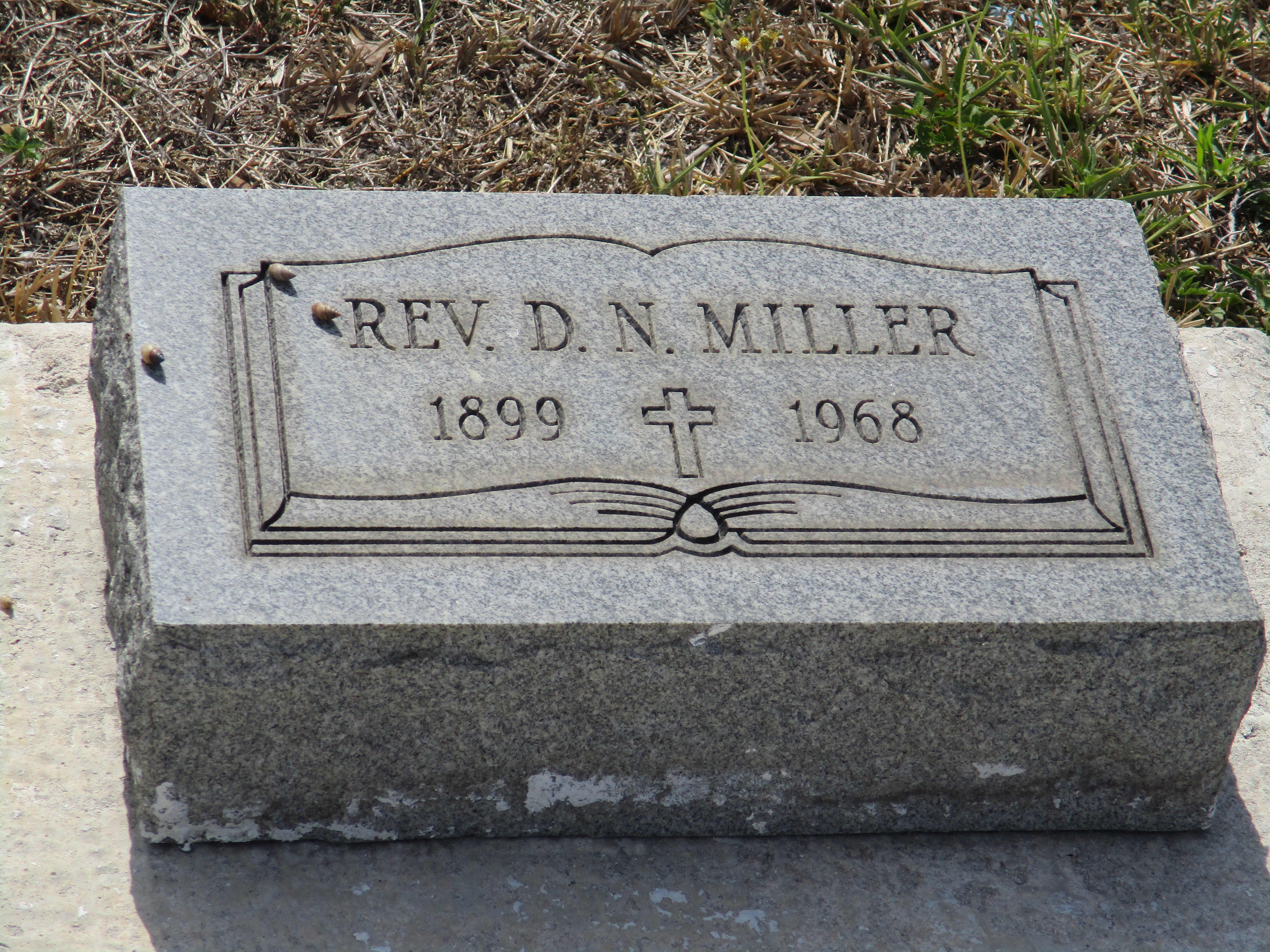 Rev D N Miller