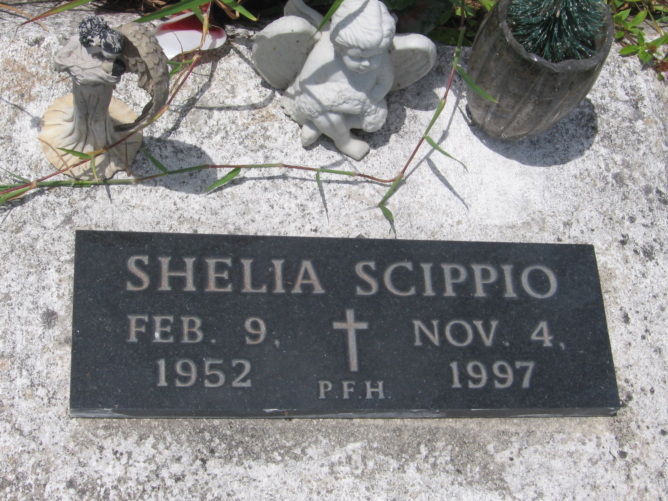 Shelia Scippio