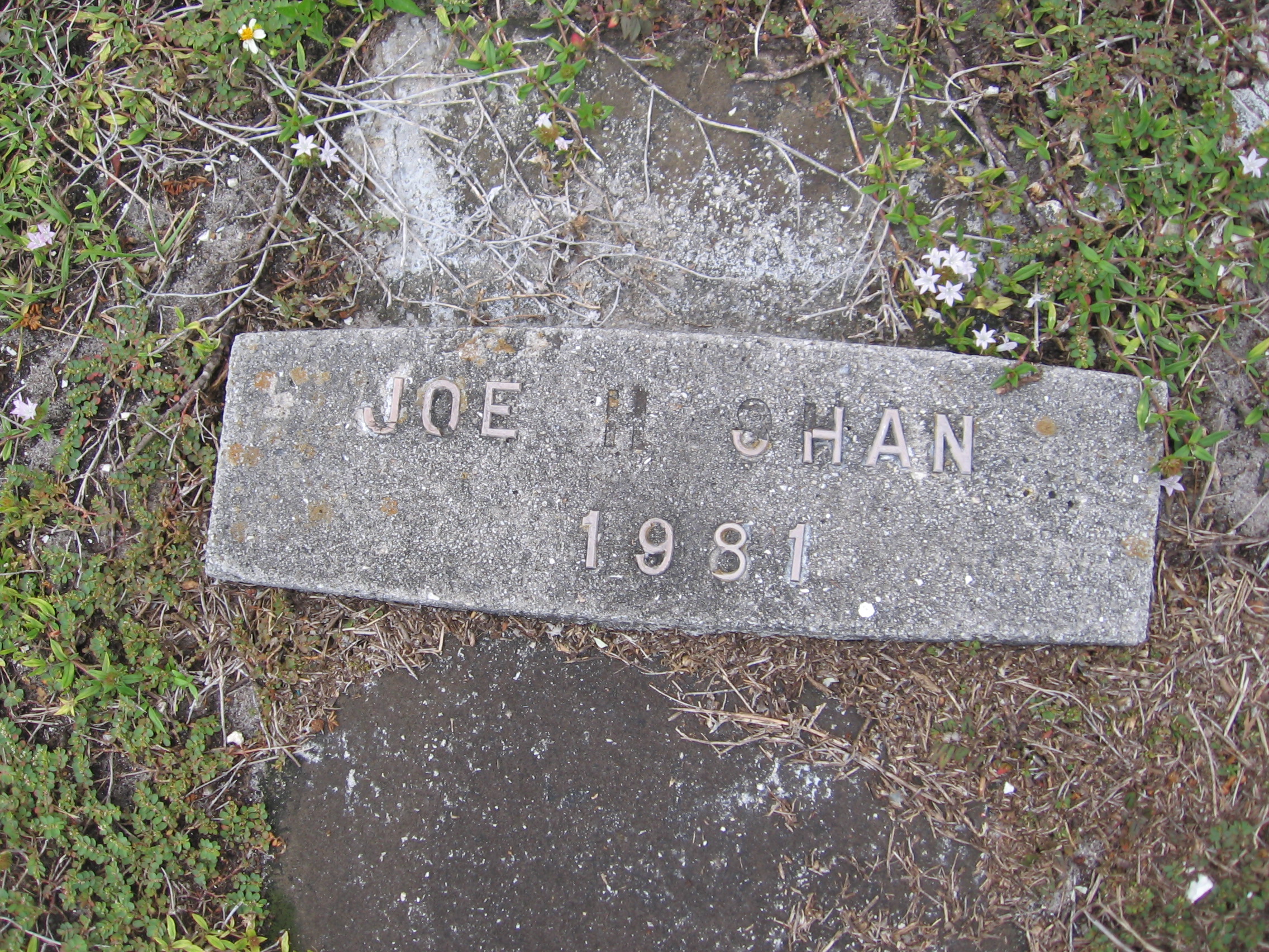 Joe H Shan