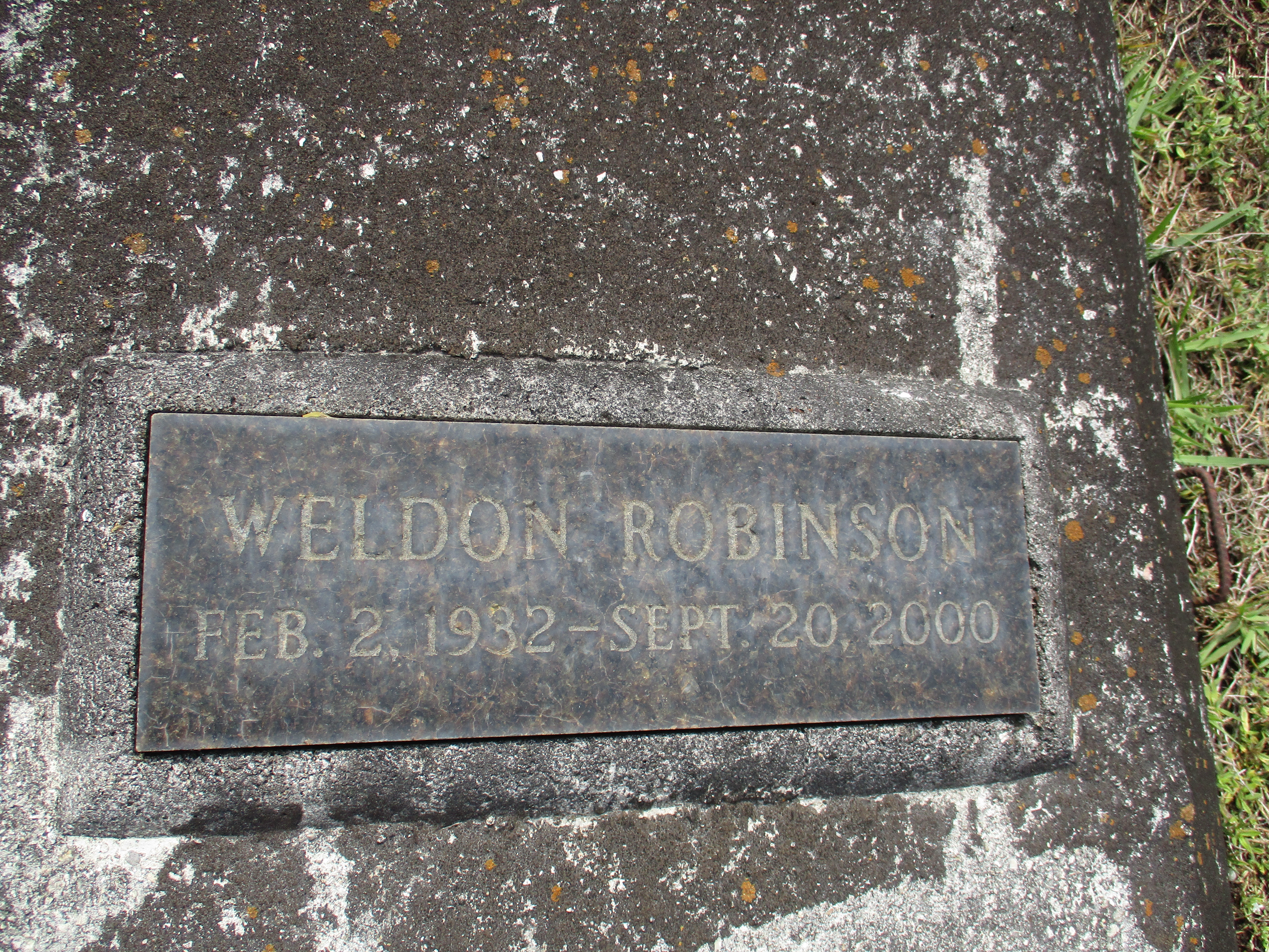 Weldon Robinson