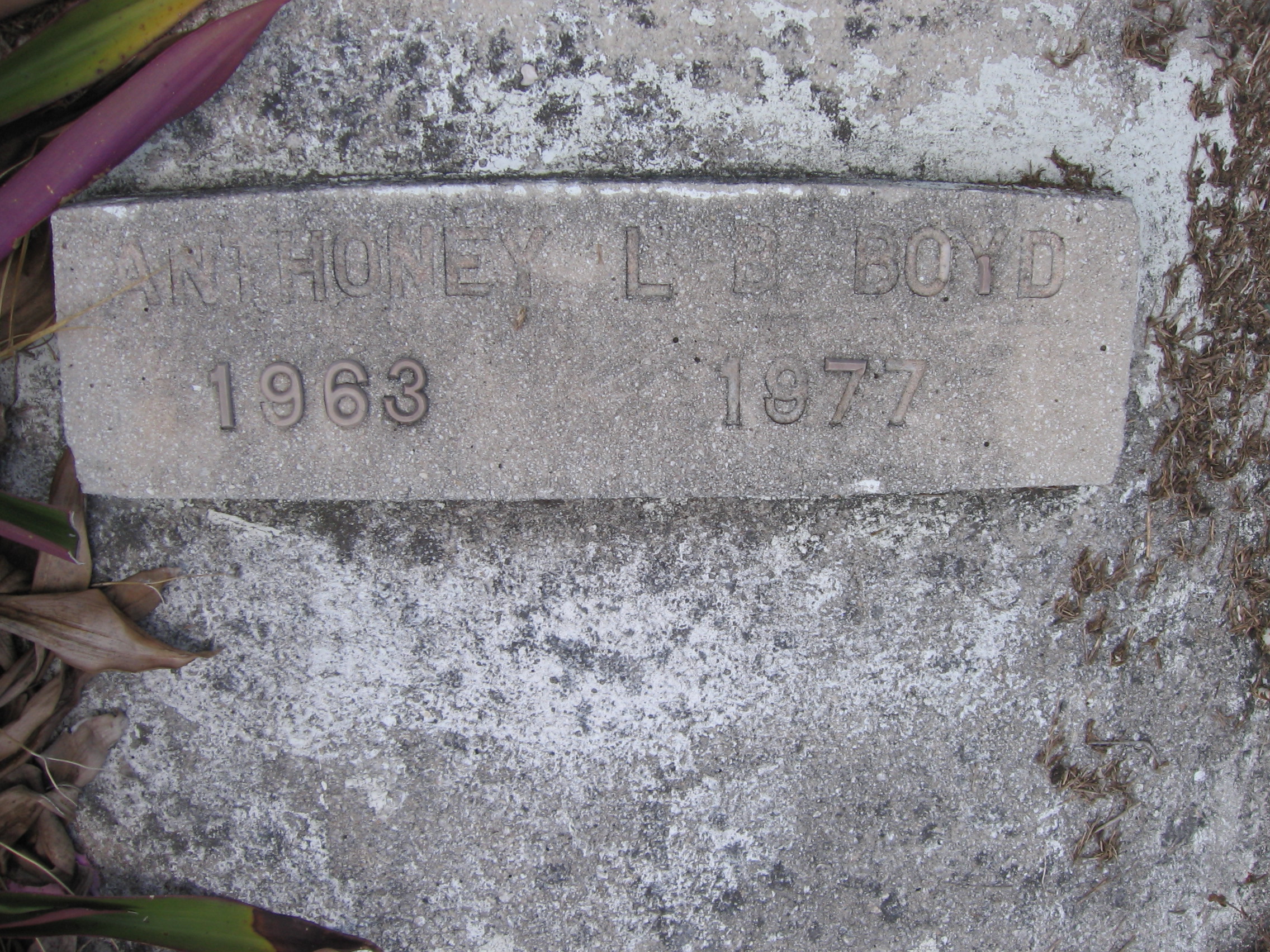 Anthoney L B Boyd
